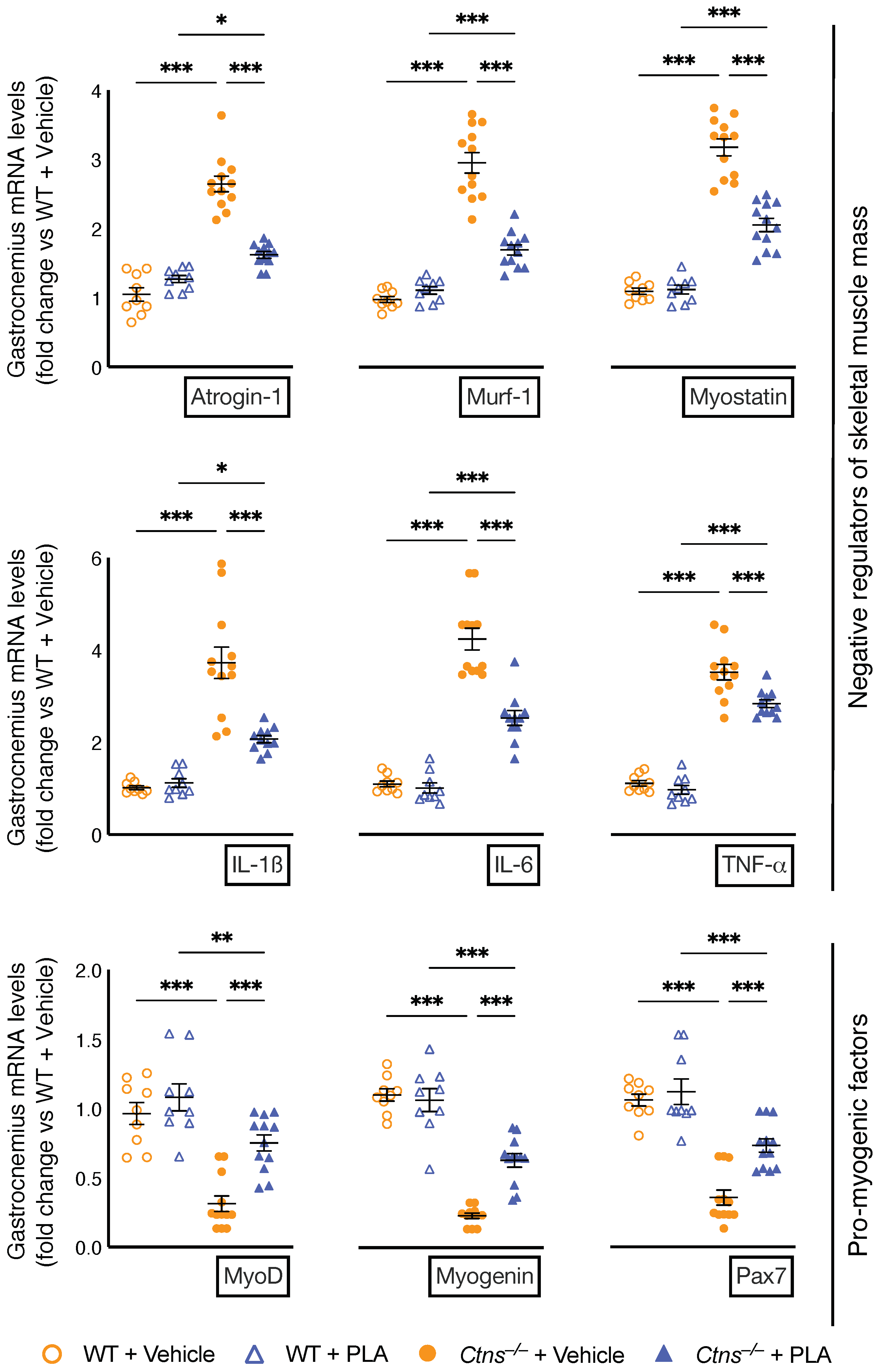 Cells 10 01954 g004 Cells 10 01954 g004