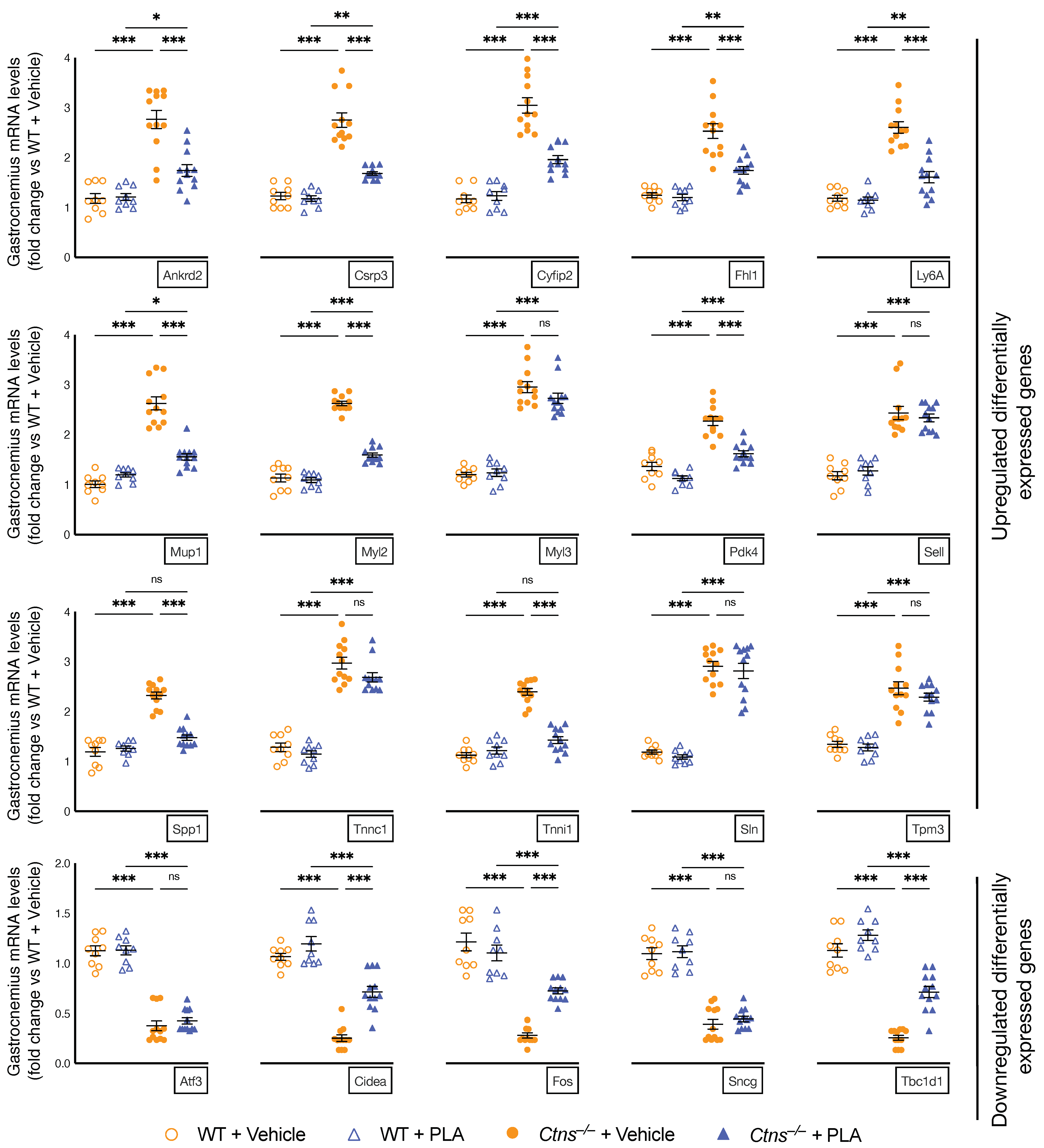 Cells 10 01954 g006 Cells 10 01954 g006