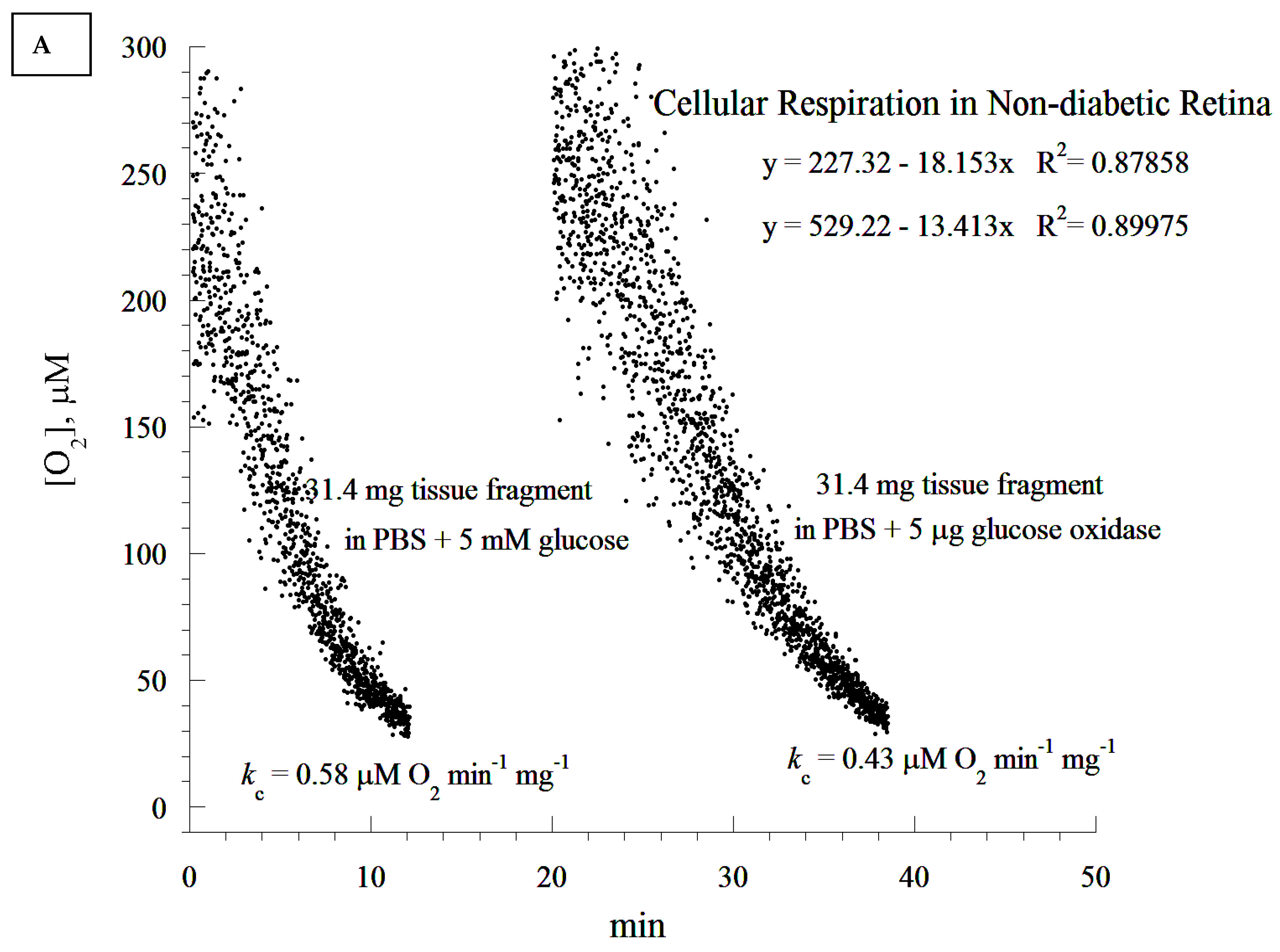Cells 10 01981 g004a