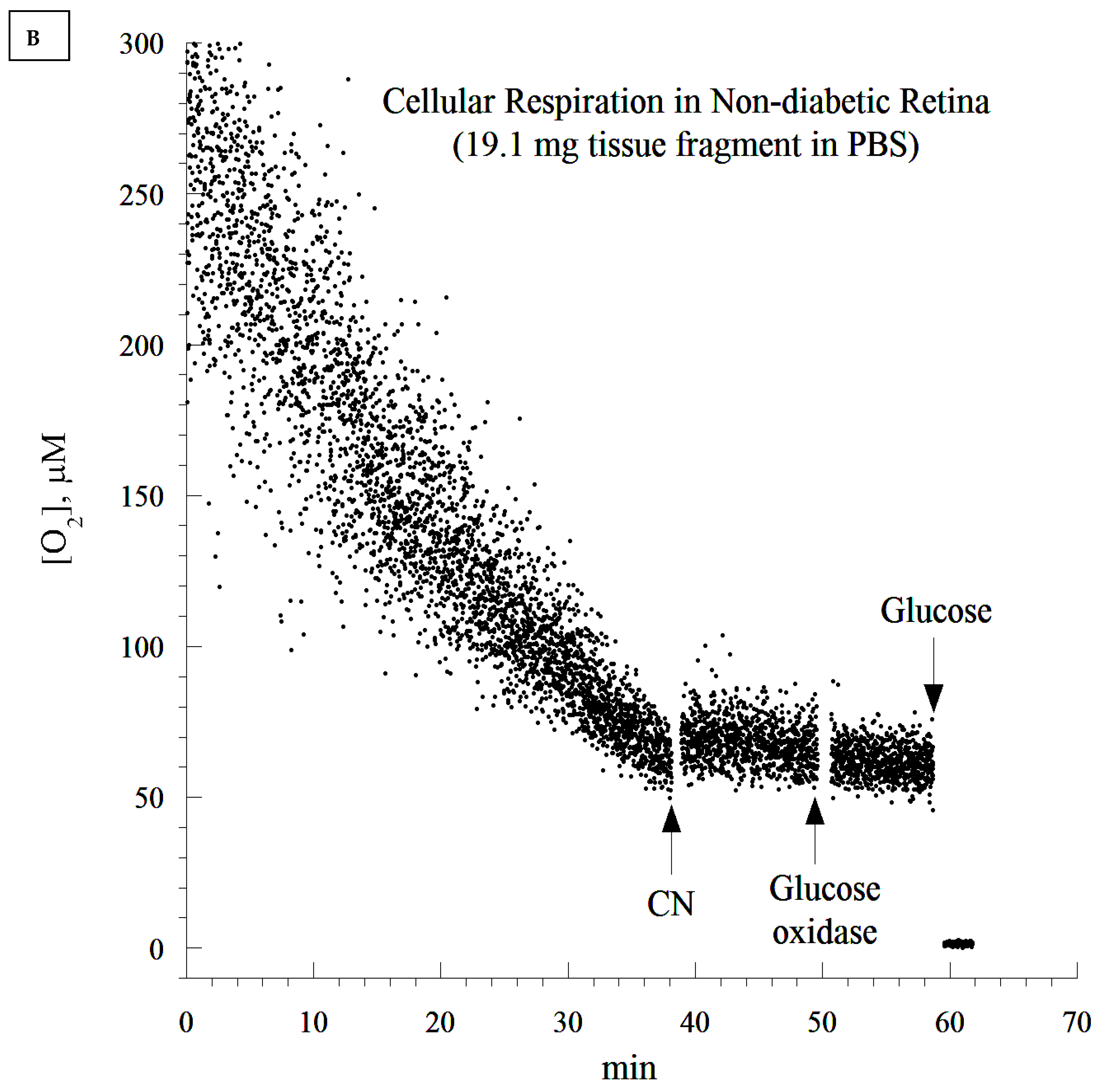 Cells 10 01981 g004b