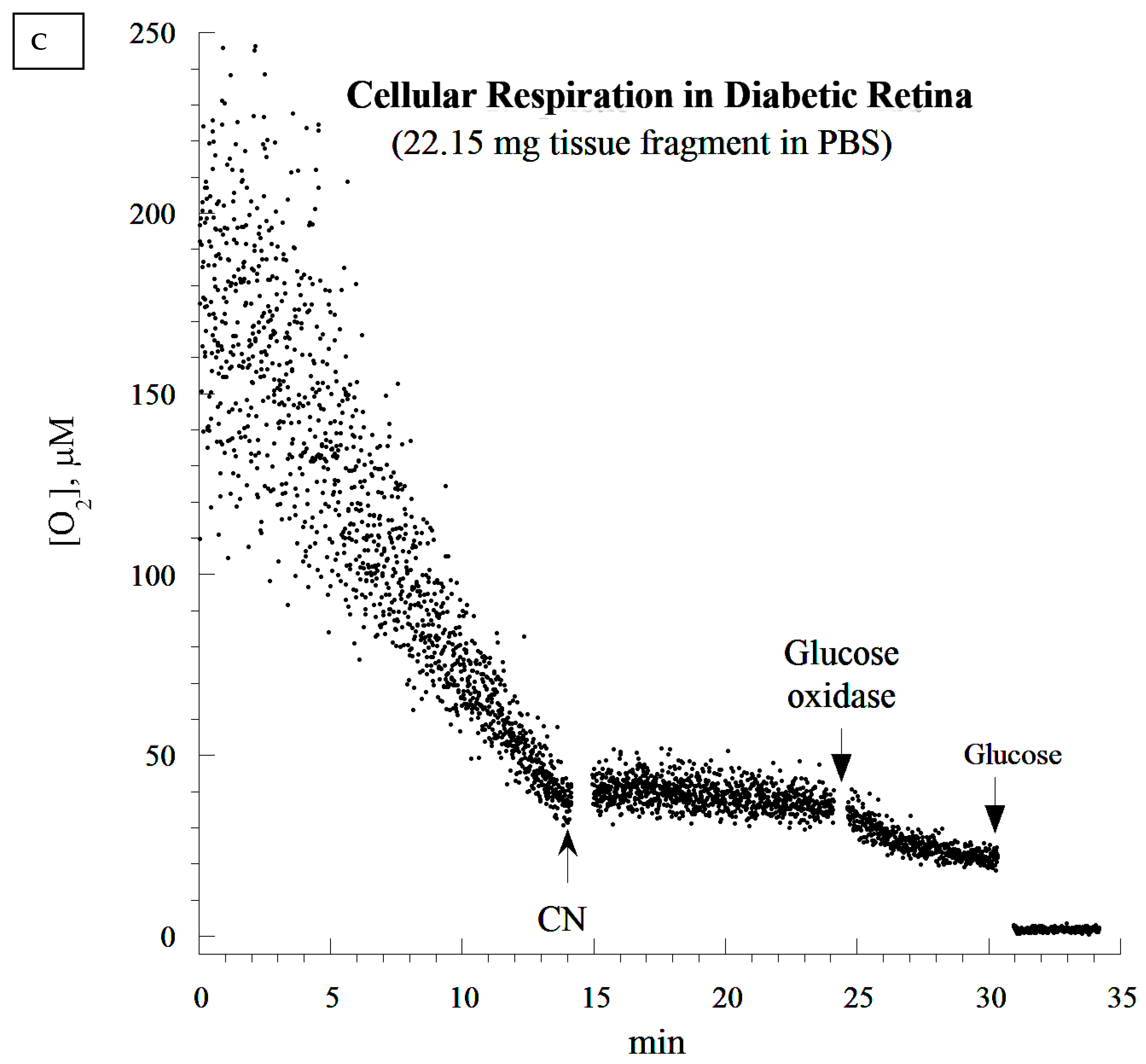 Cells 10 01981 g004c
