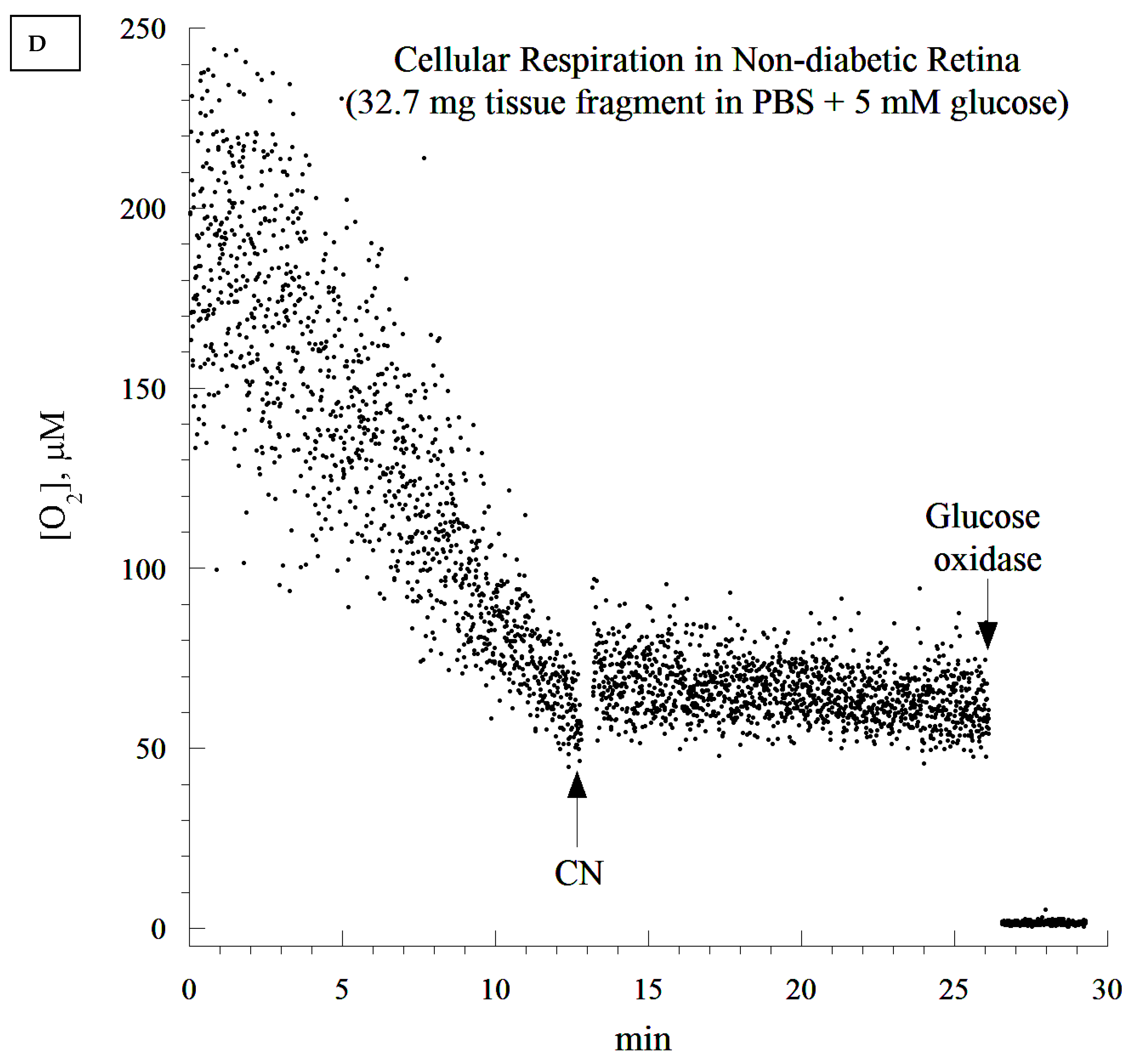 Cells 10 01981 g004d