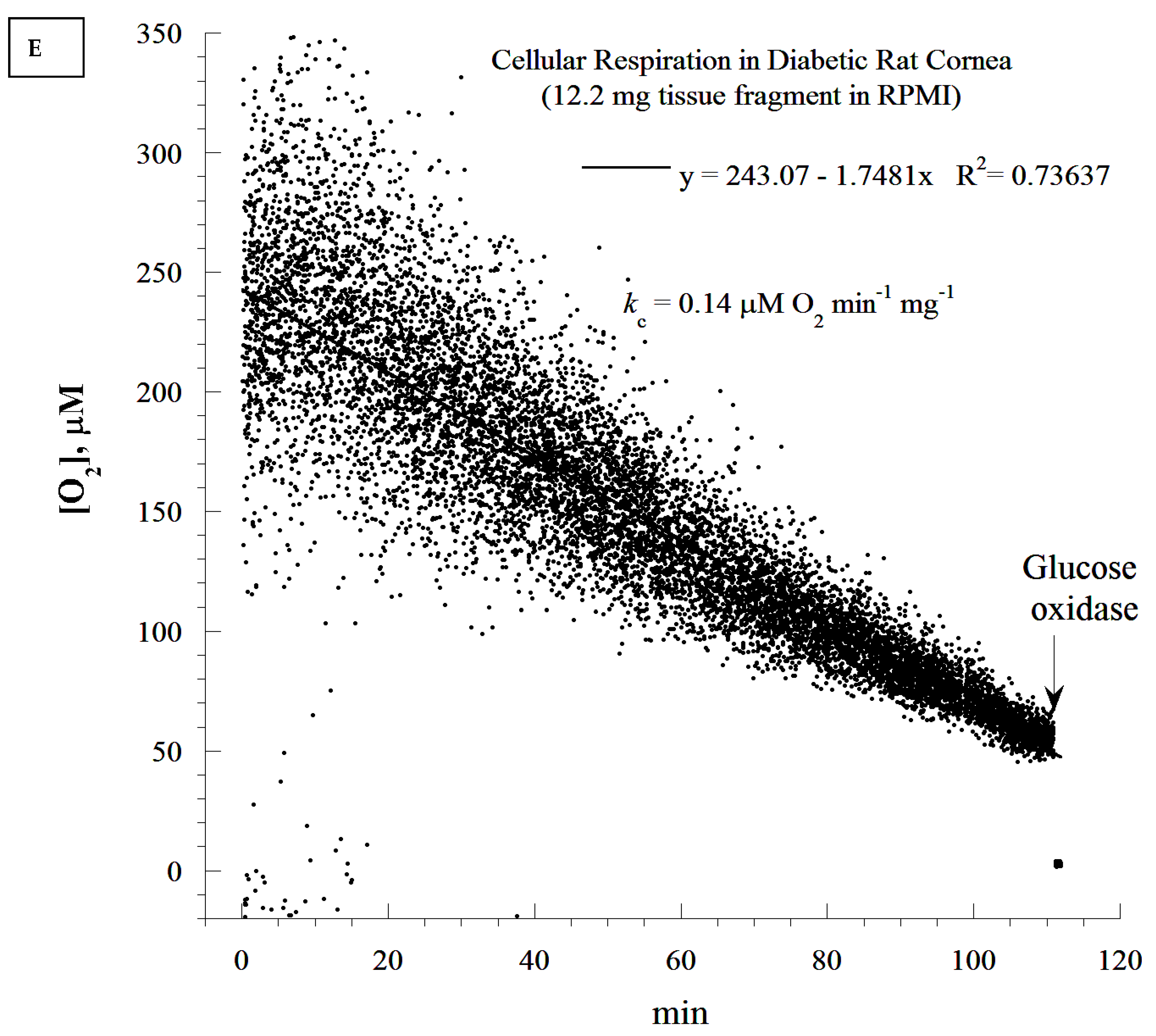 Cells 10 01981 g004e