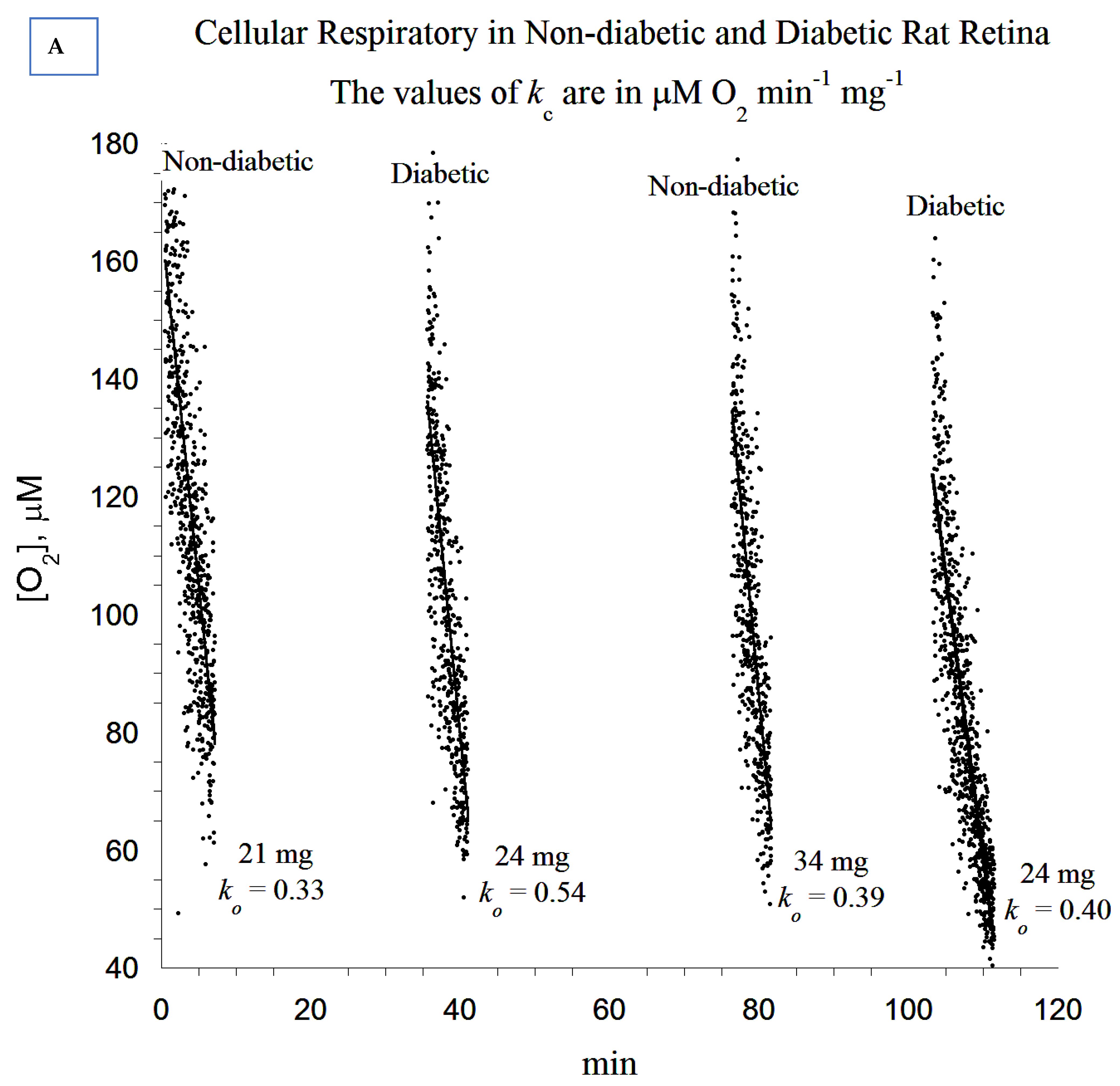 Cells 10 01981 g005a