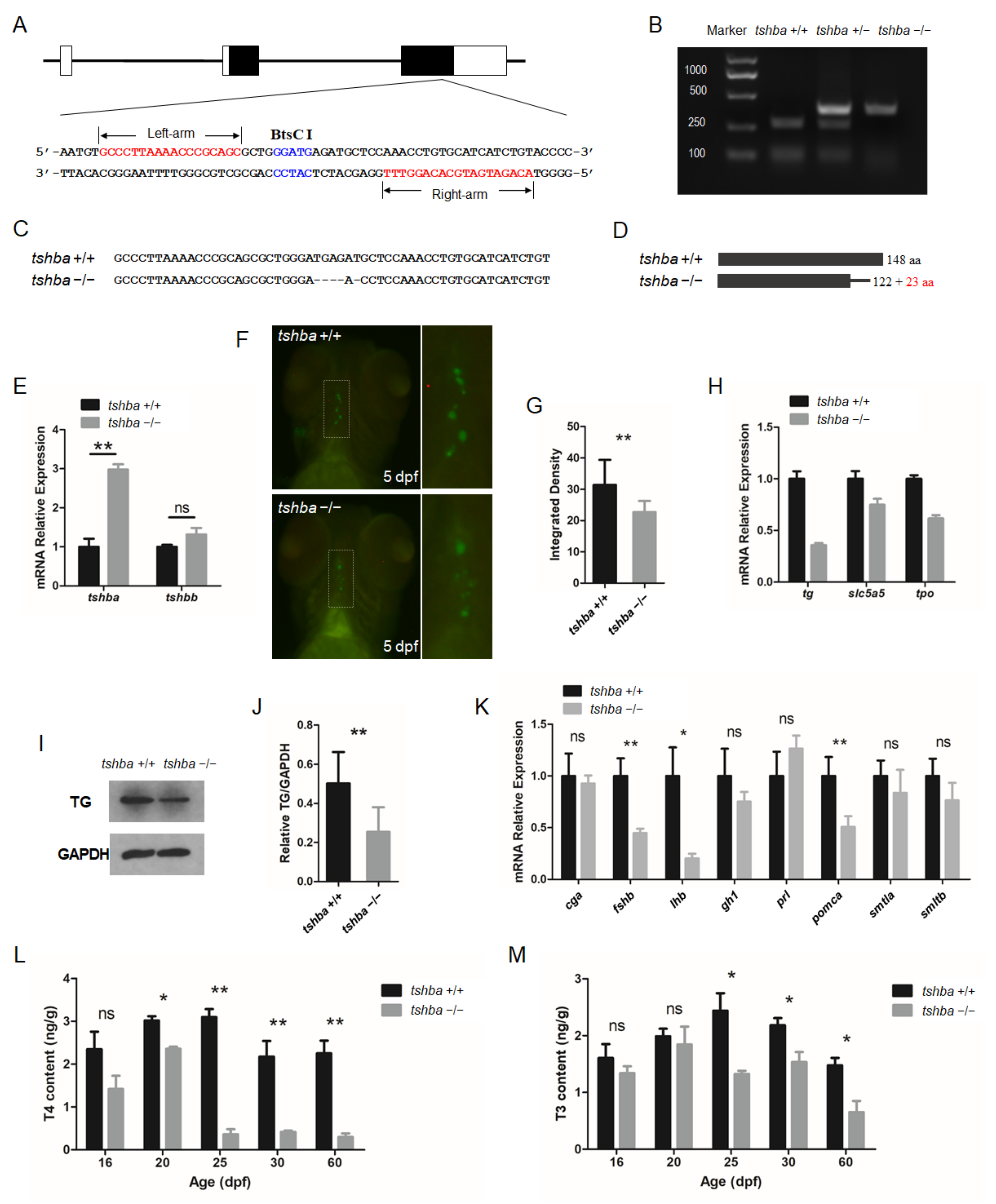 Cells 10 01984 g001 Cells 10 01984 g001