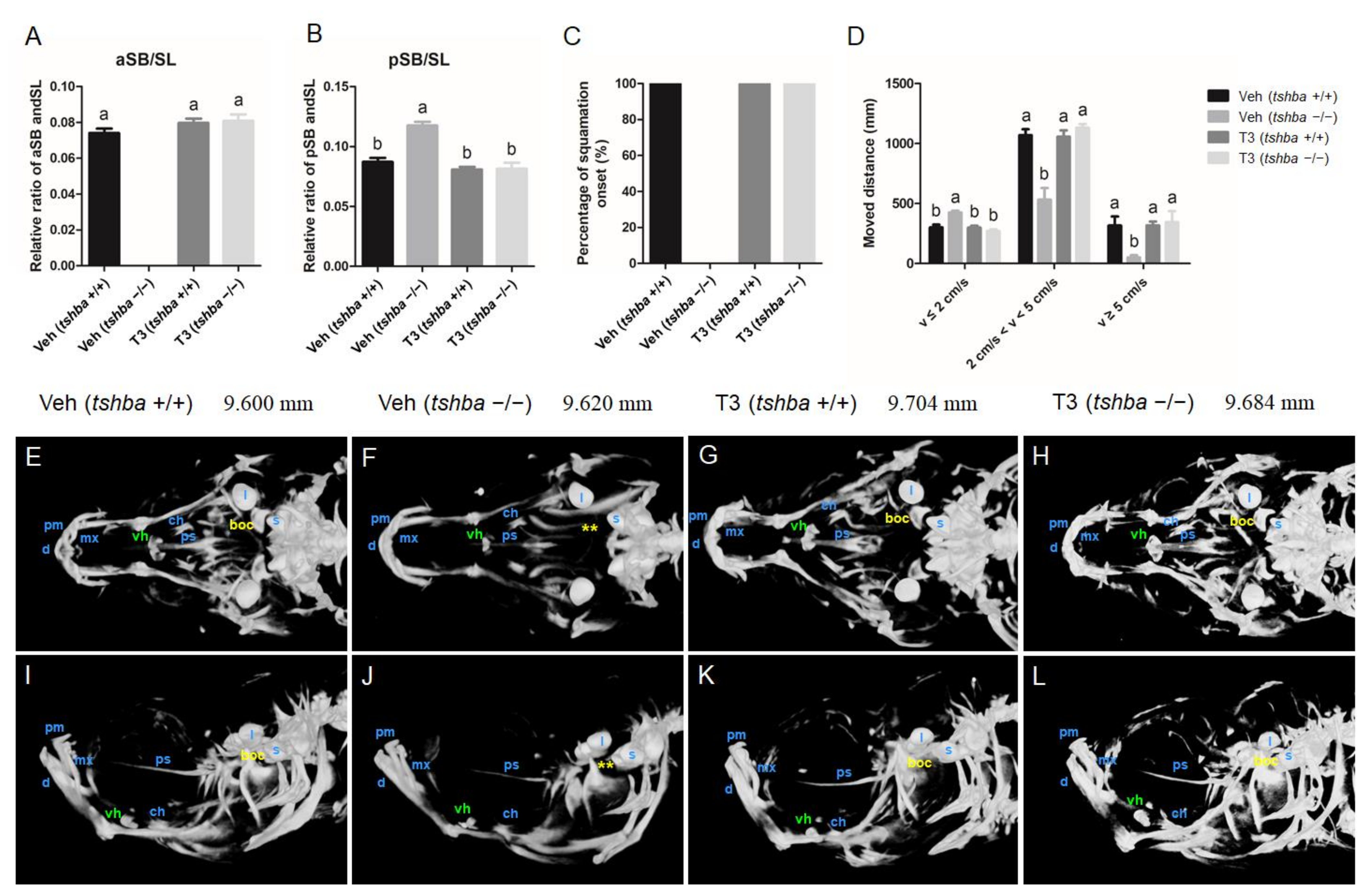 Cells 10 01984 g004 Cells 10 01984 g004