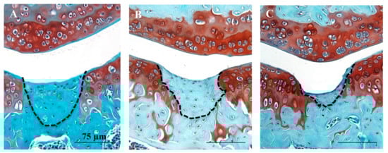 Cells 10 01999 g0a1 550