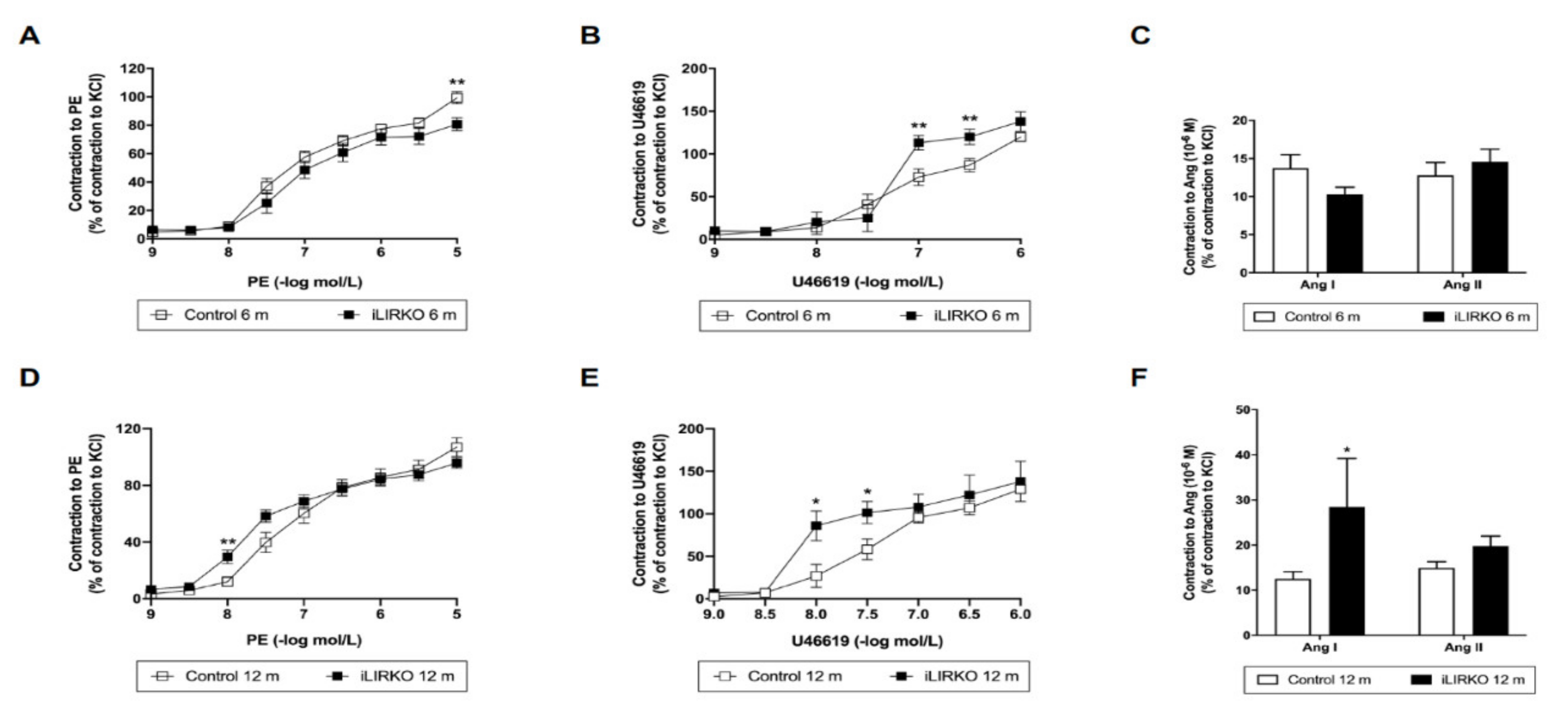 Cells 10 02035 g003 Cells 10 02035 g003