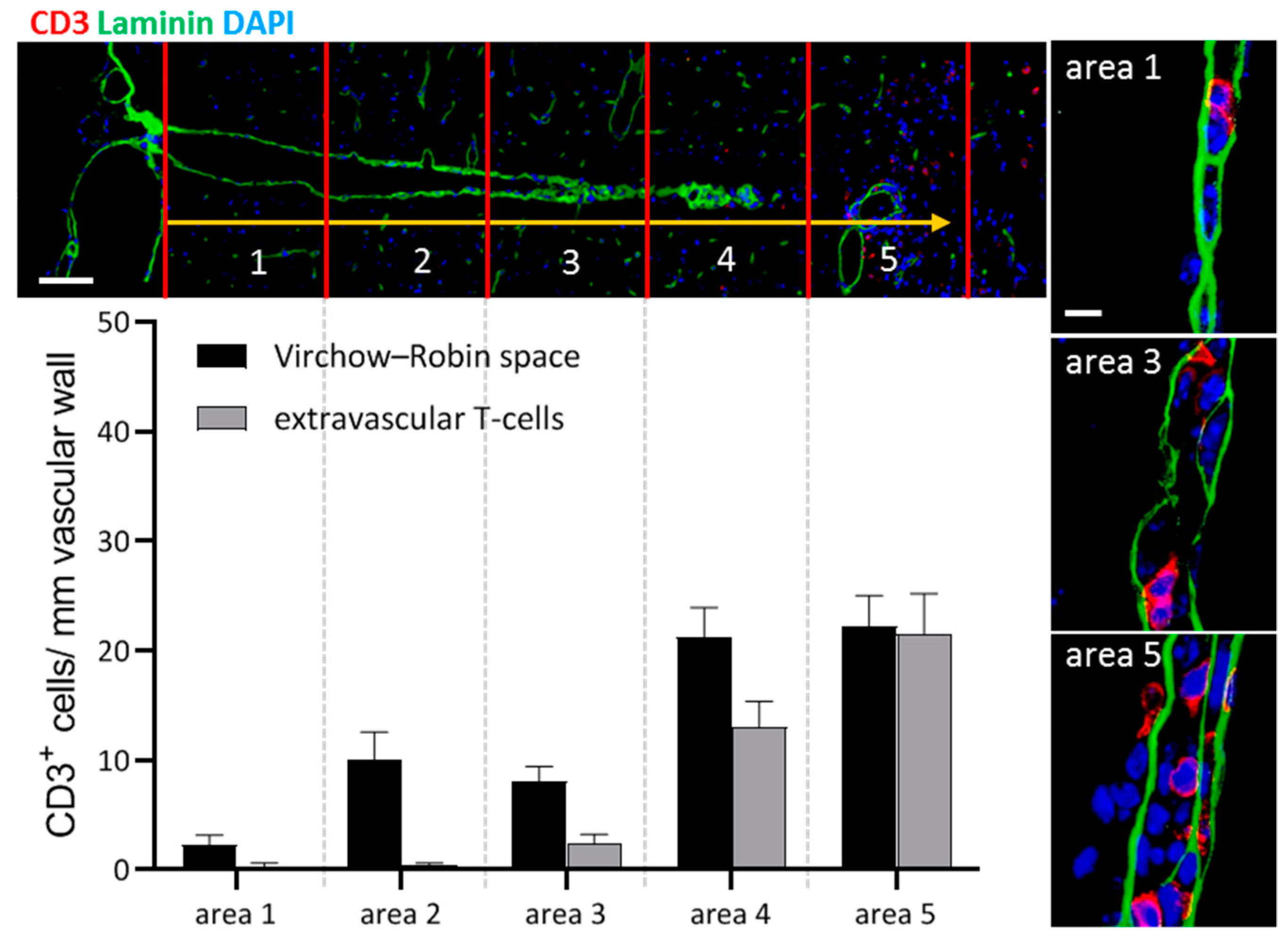 Cells 10 02041 g002 Cells 10 02041 g002