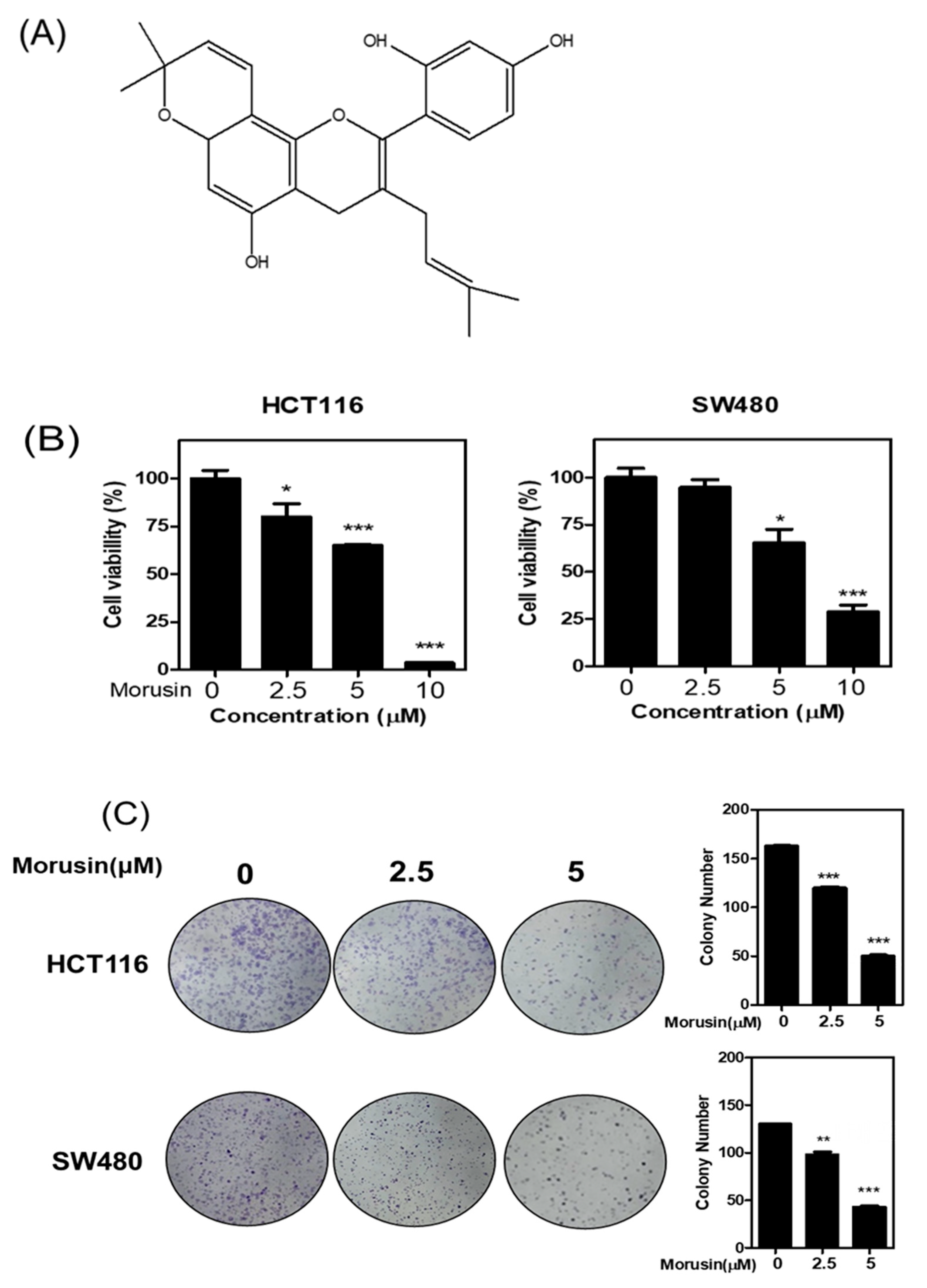 Cells 10 02065 g001