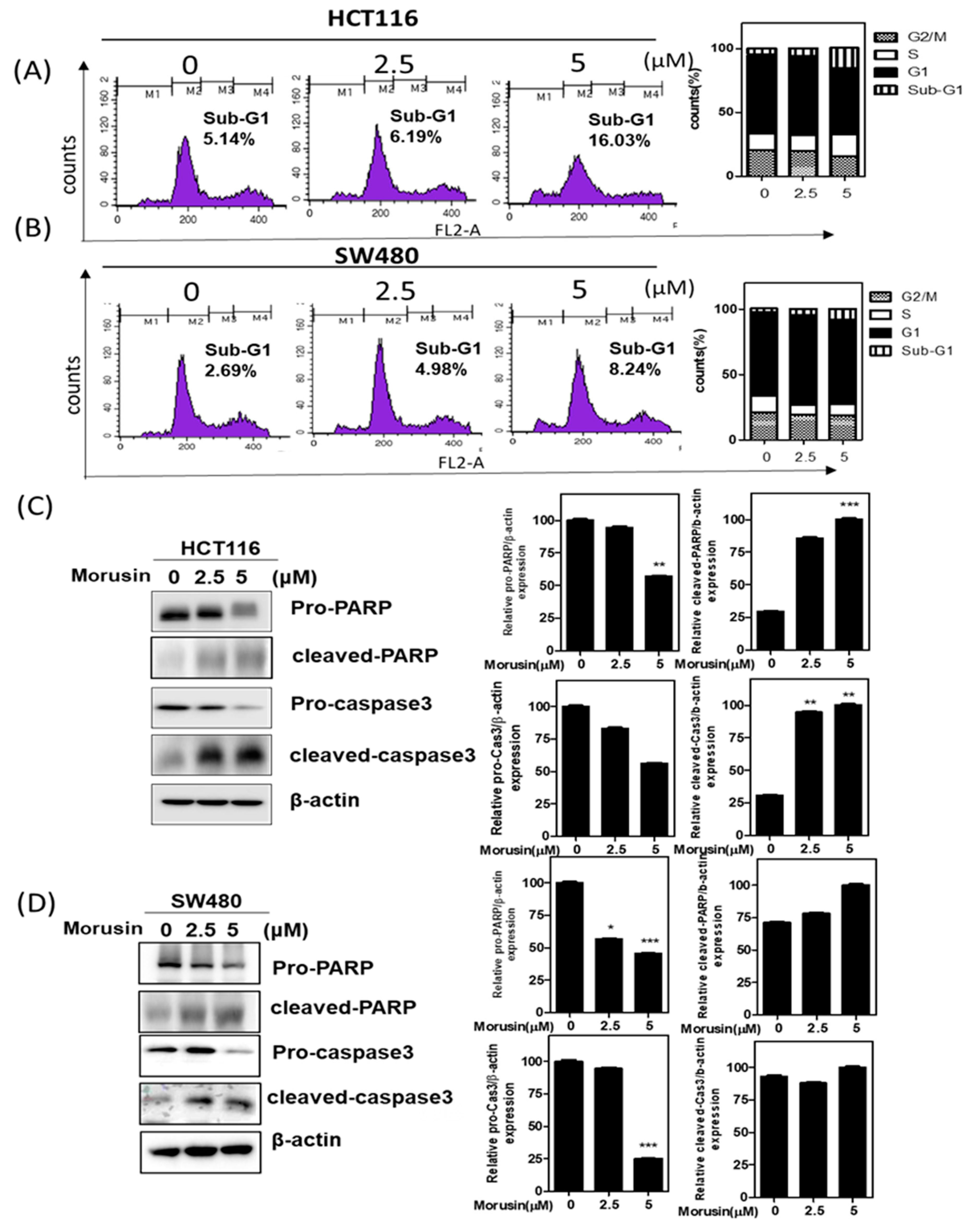 Cells 10 02065 g002