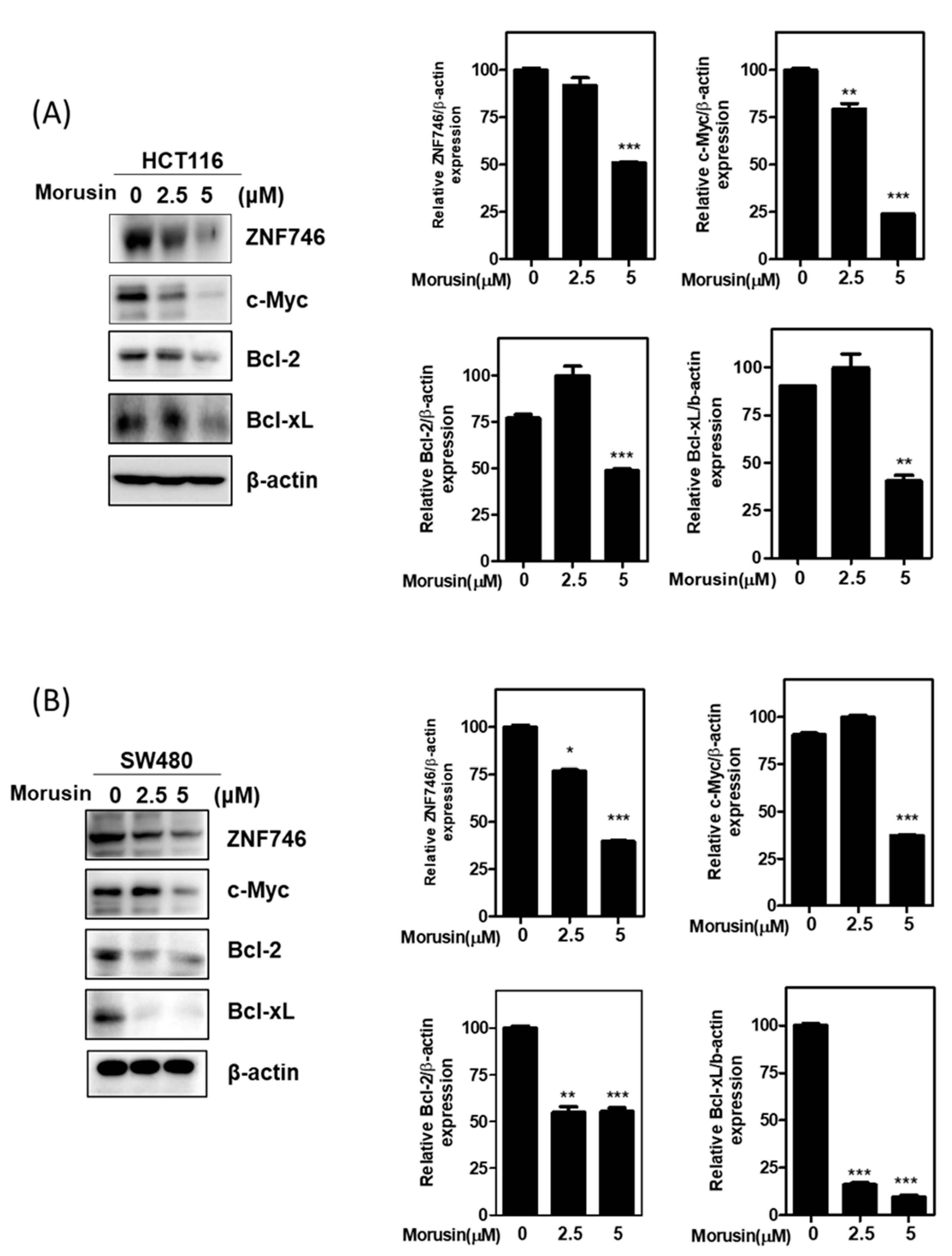 Cells 10 02065 g003