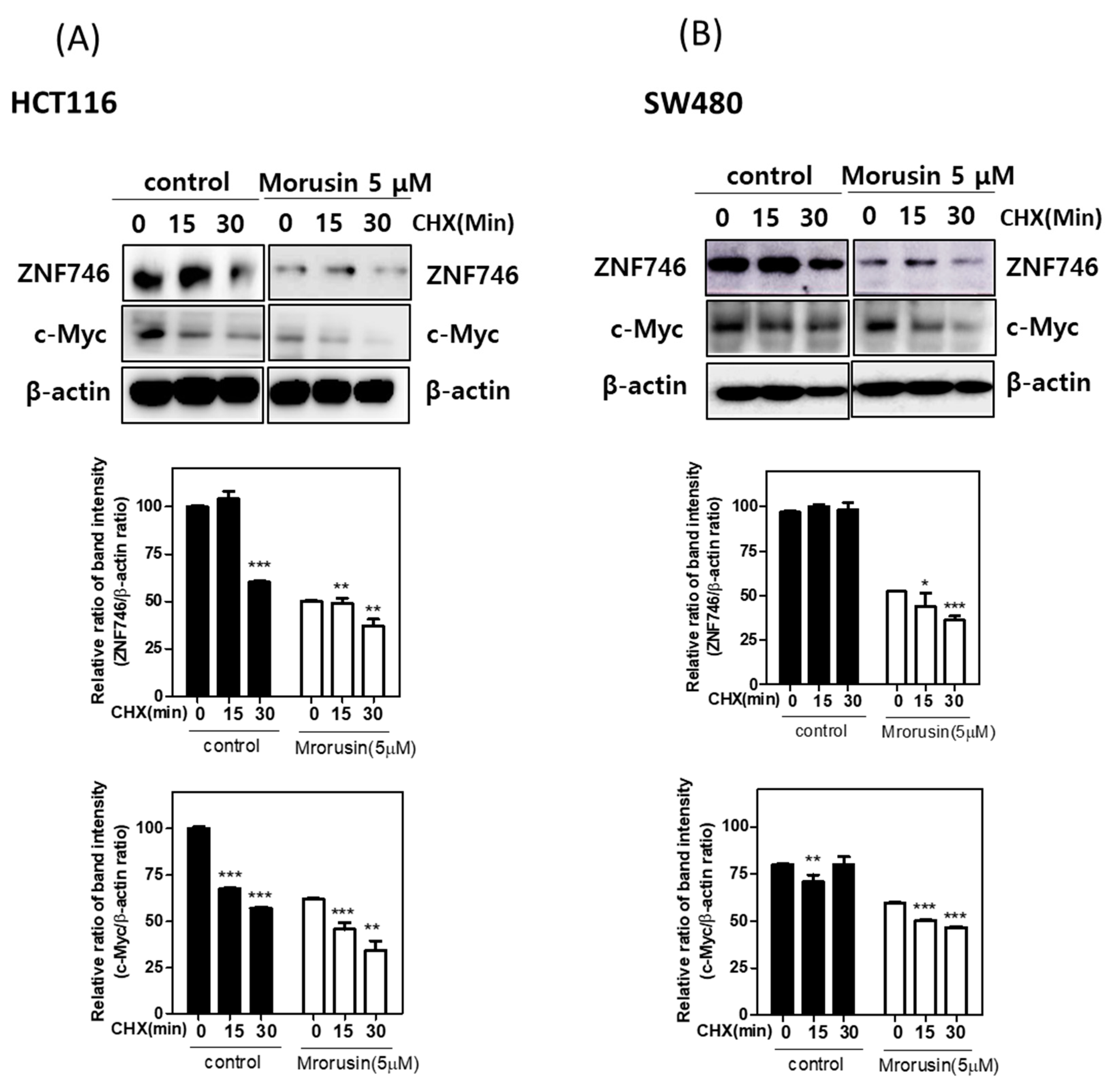 Cells 10 02065 g004