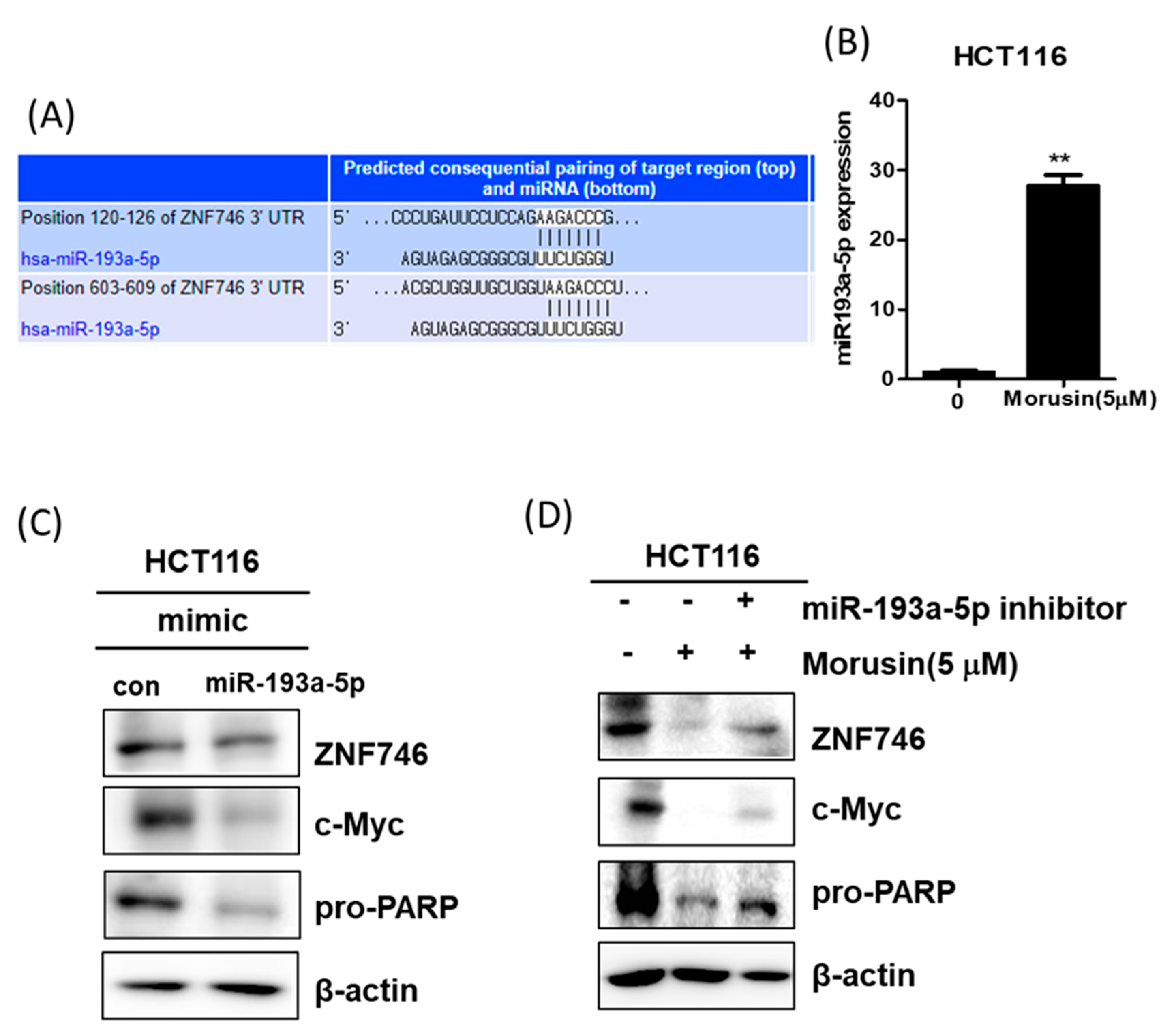 Cells 10 02065 g007