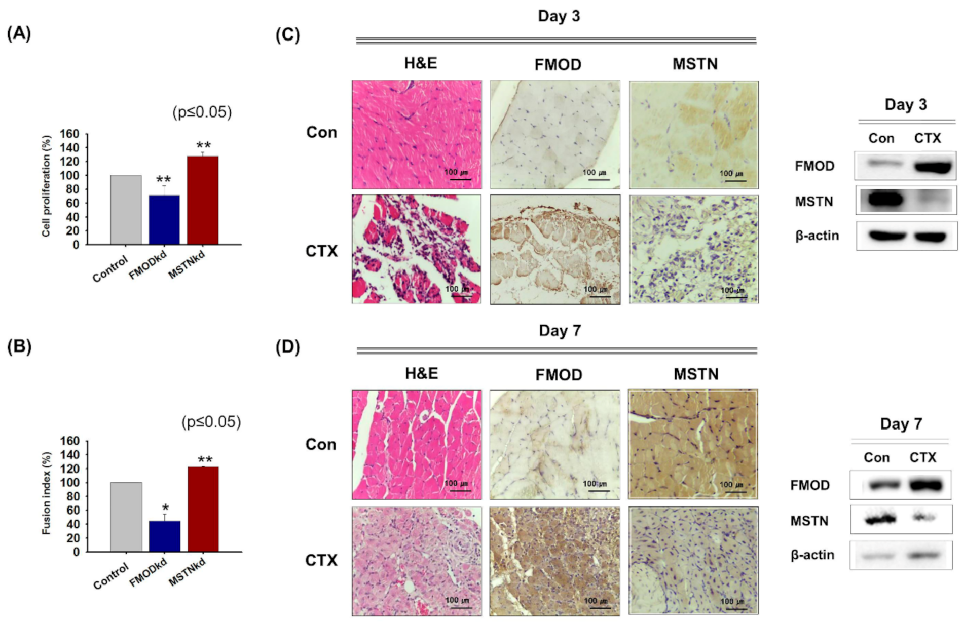 Cells 10 02083 g001 Cells 10 02083 g001
