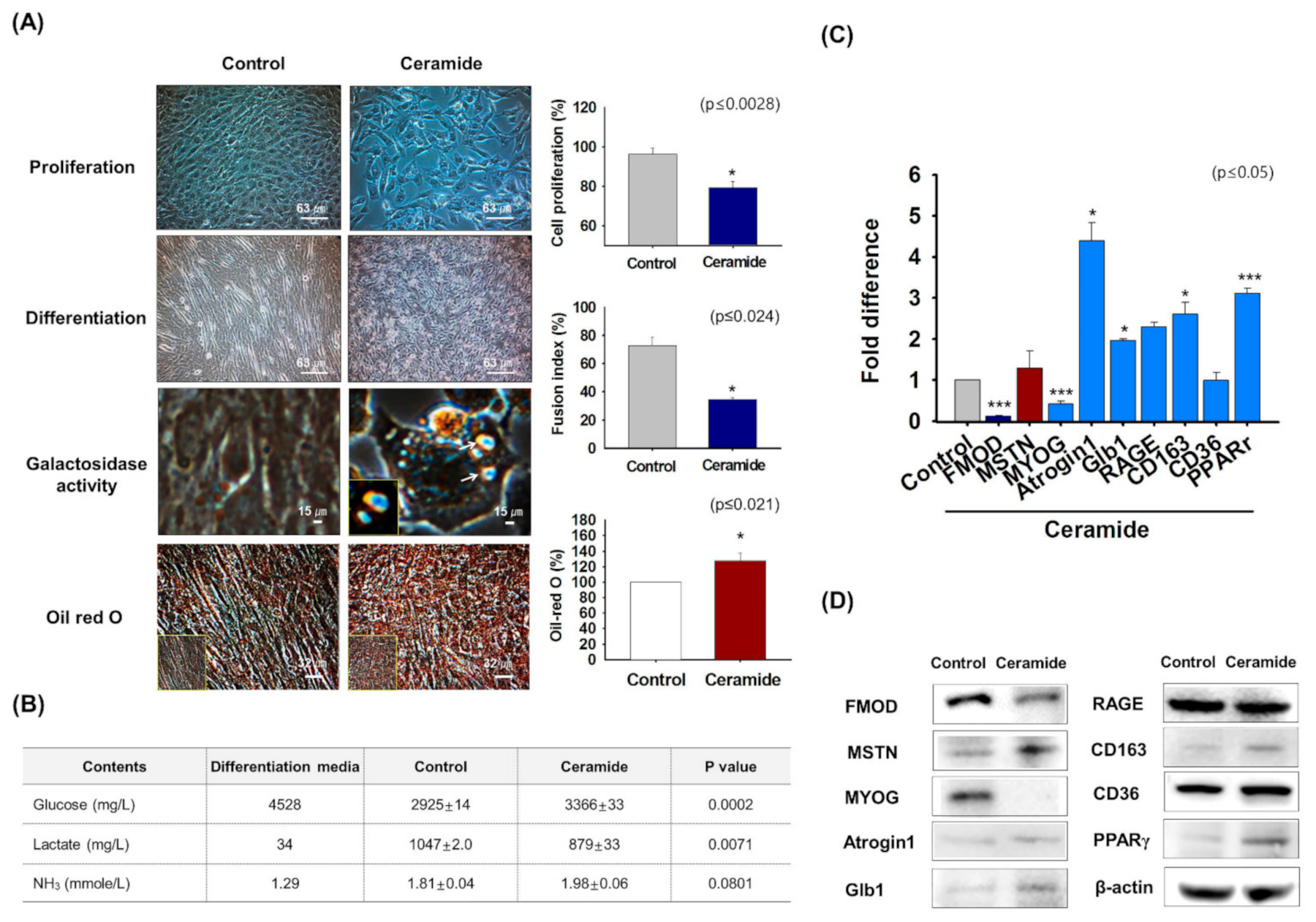 Cells 10 02083 g004 Cells 10 02083 g004