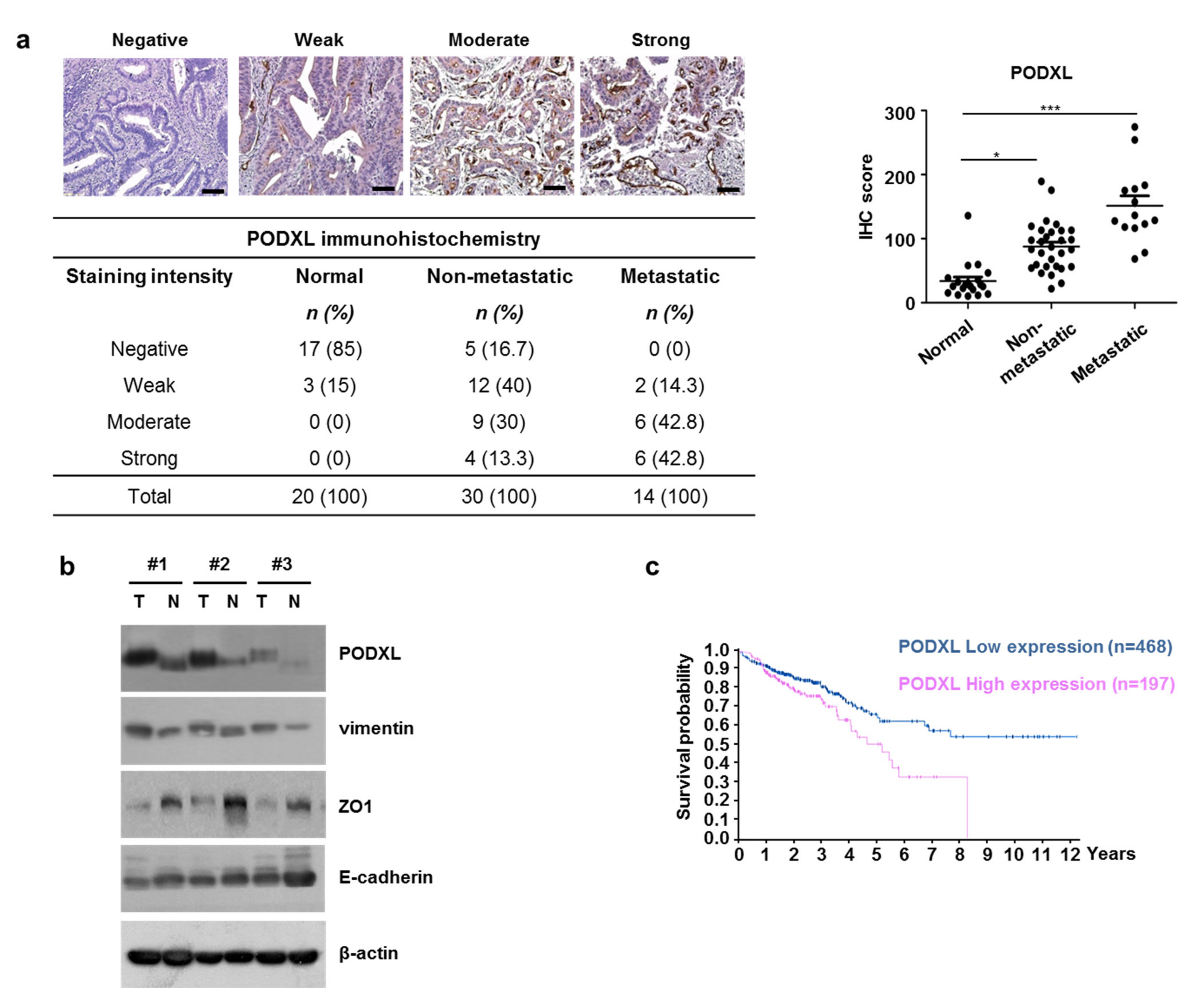 Cells 10 02087 g003 Cells 10 02087 g003