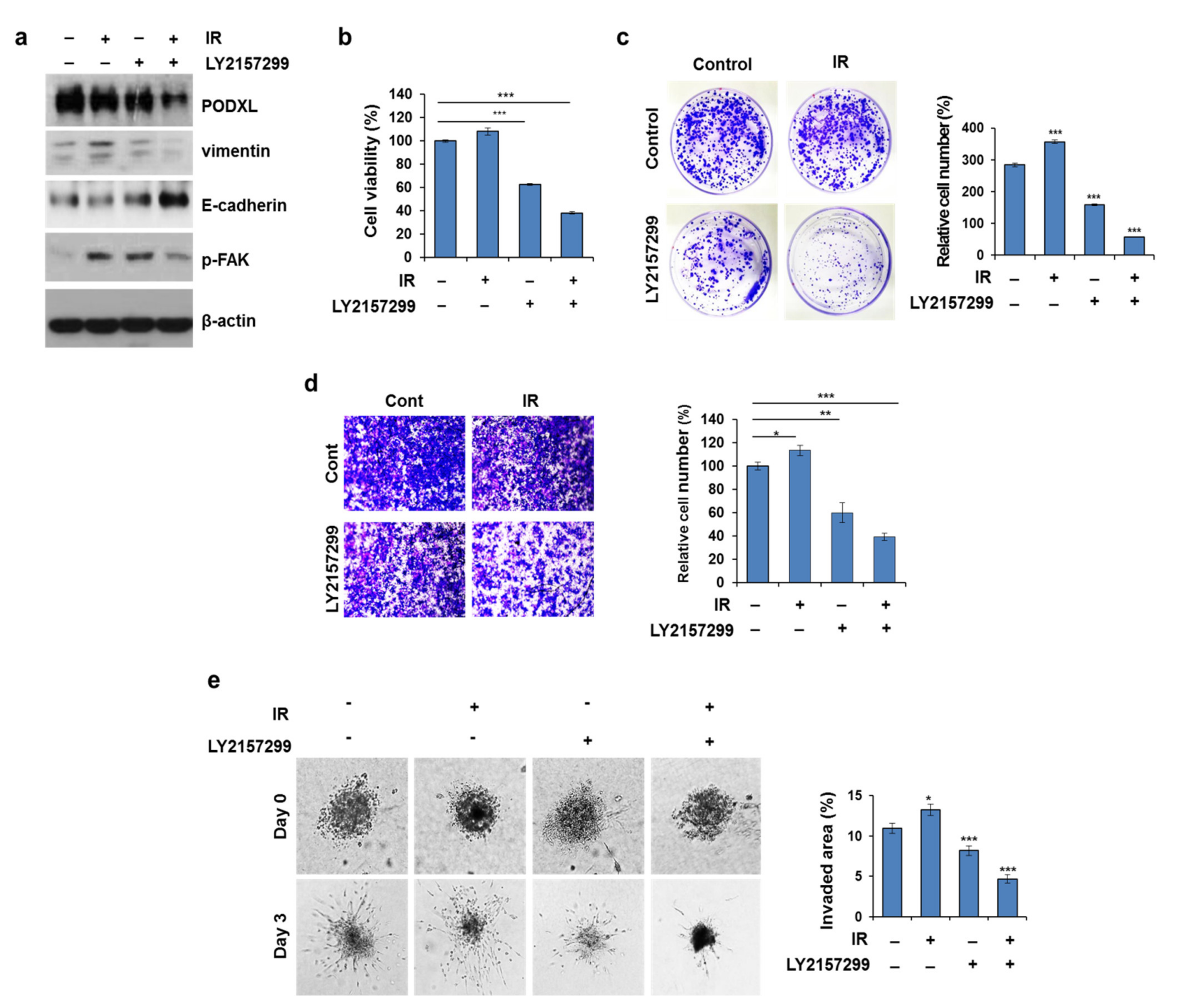 Cells 10 02087 g007 Cells 10 02087 g007