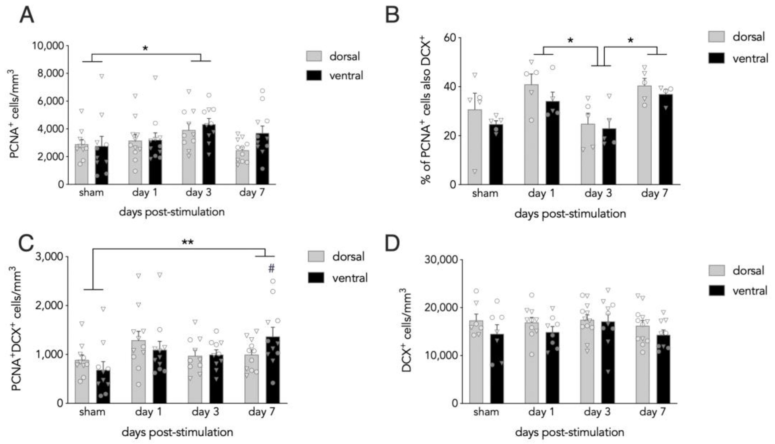 Cells 10 02090 g002 Cells 10 02090 g002