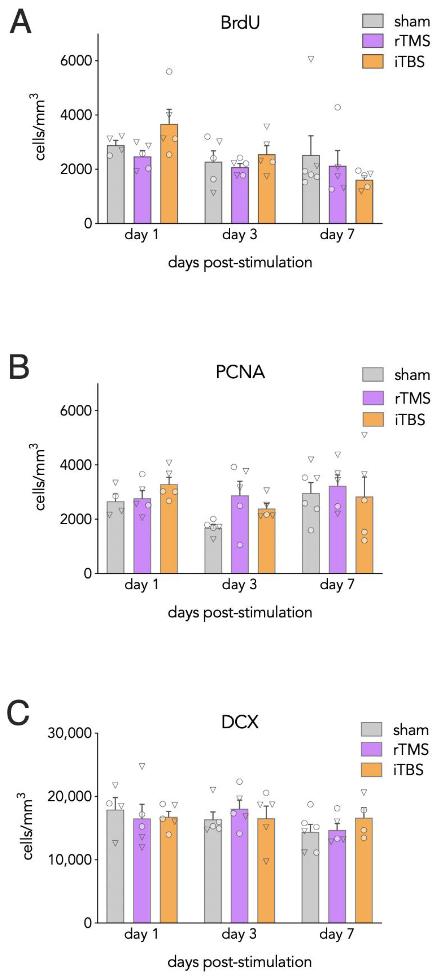 Cells 10 02090 g003 Cells 10 02090 g003