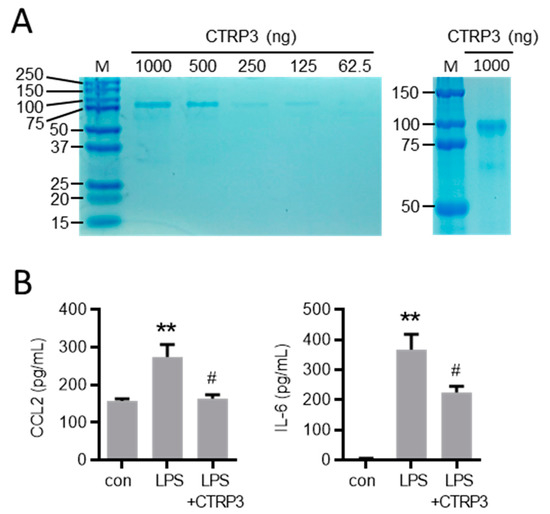 Cells 10 02146 g0a1 550