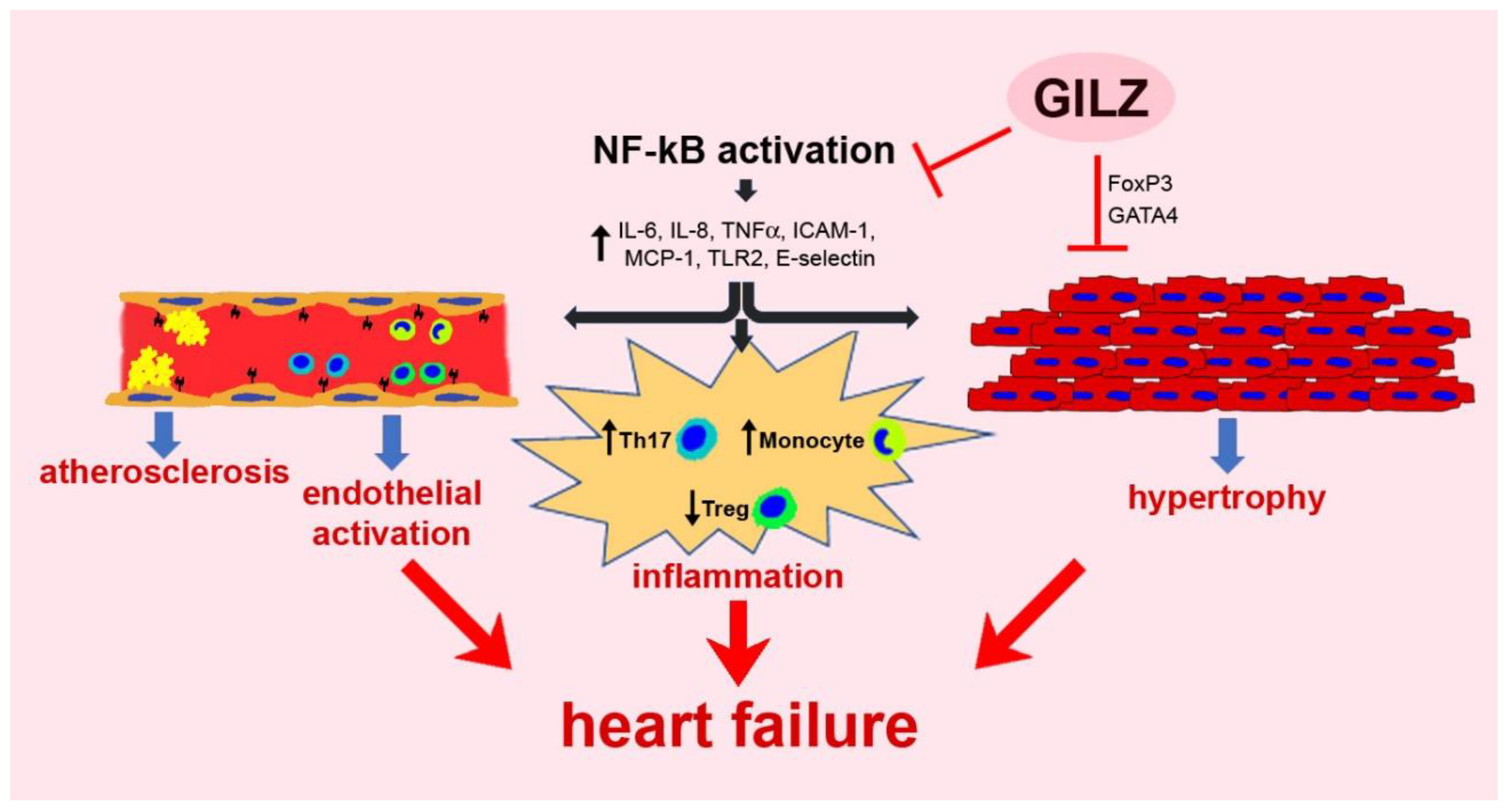 Cells 10 02155 g001 Cells 10 02155 g001