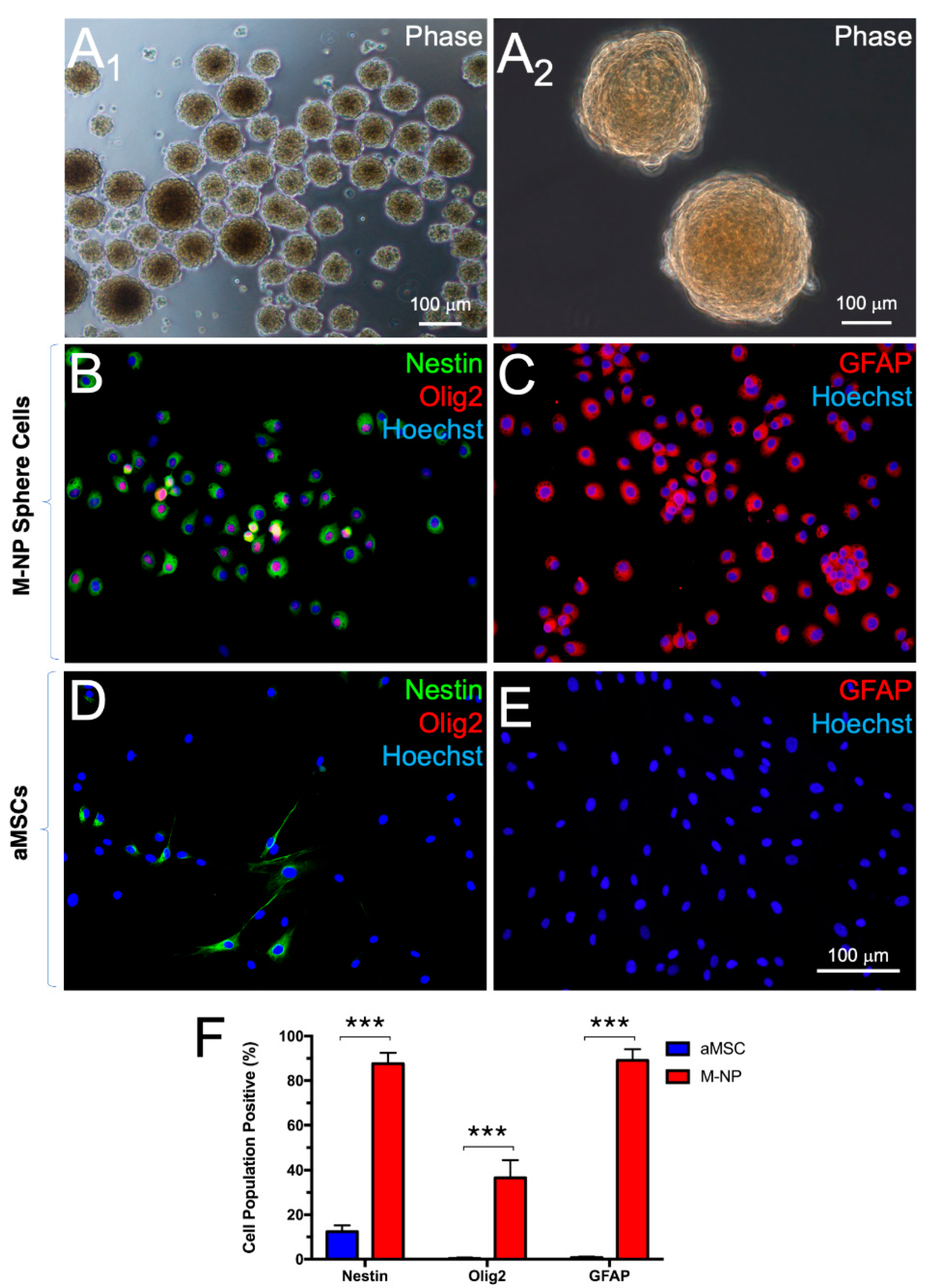Cells 10 02166 g002