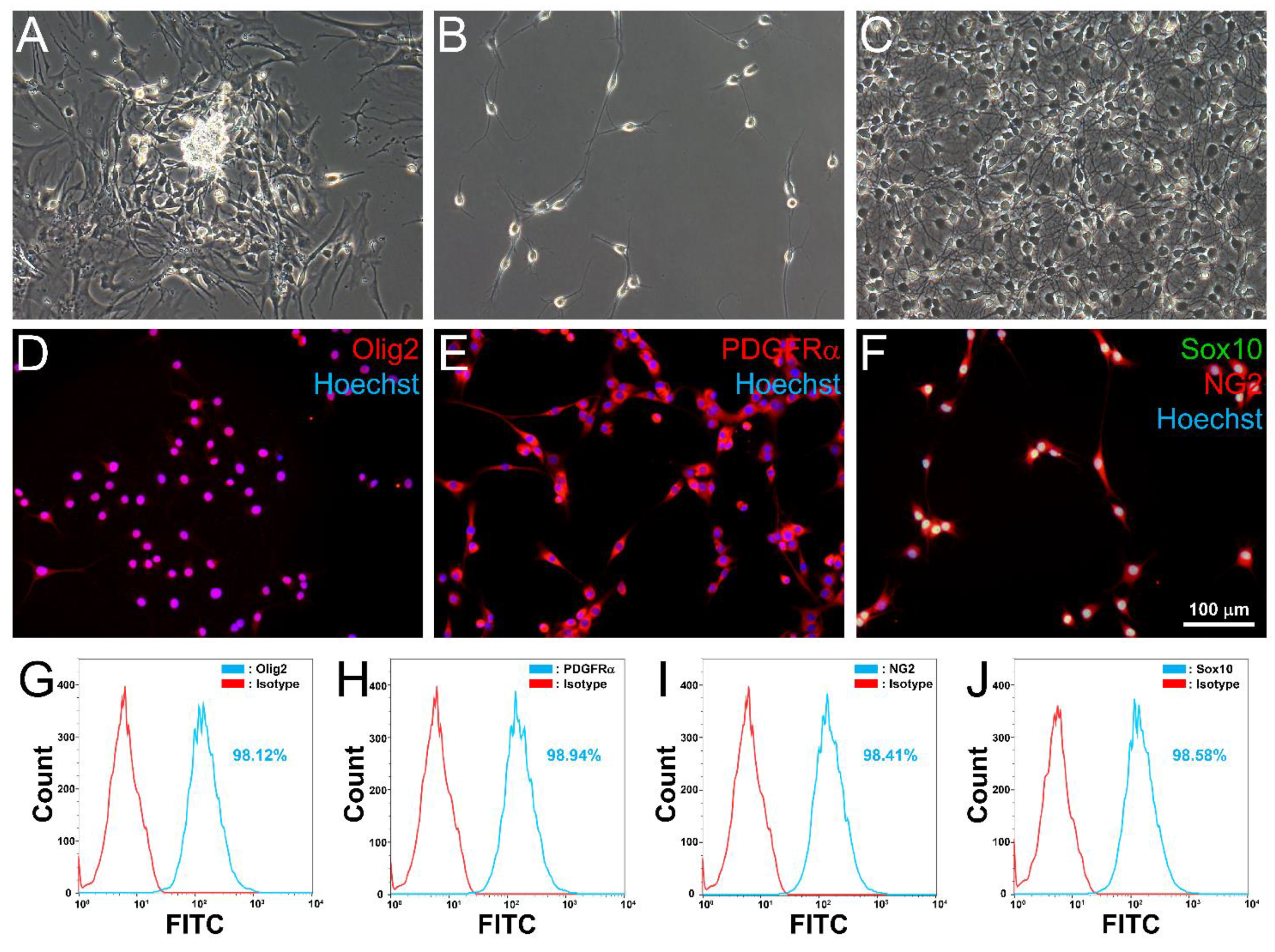 Cells 10 02166 g003
