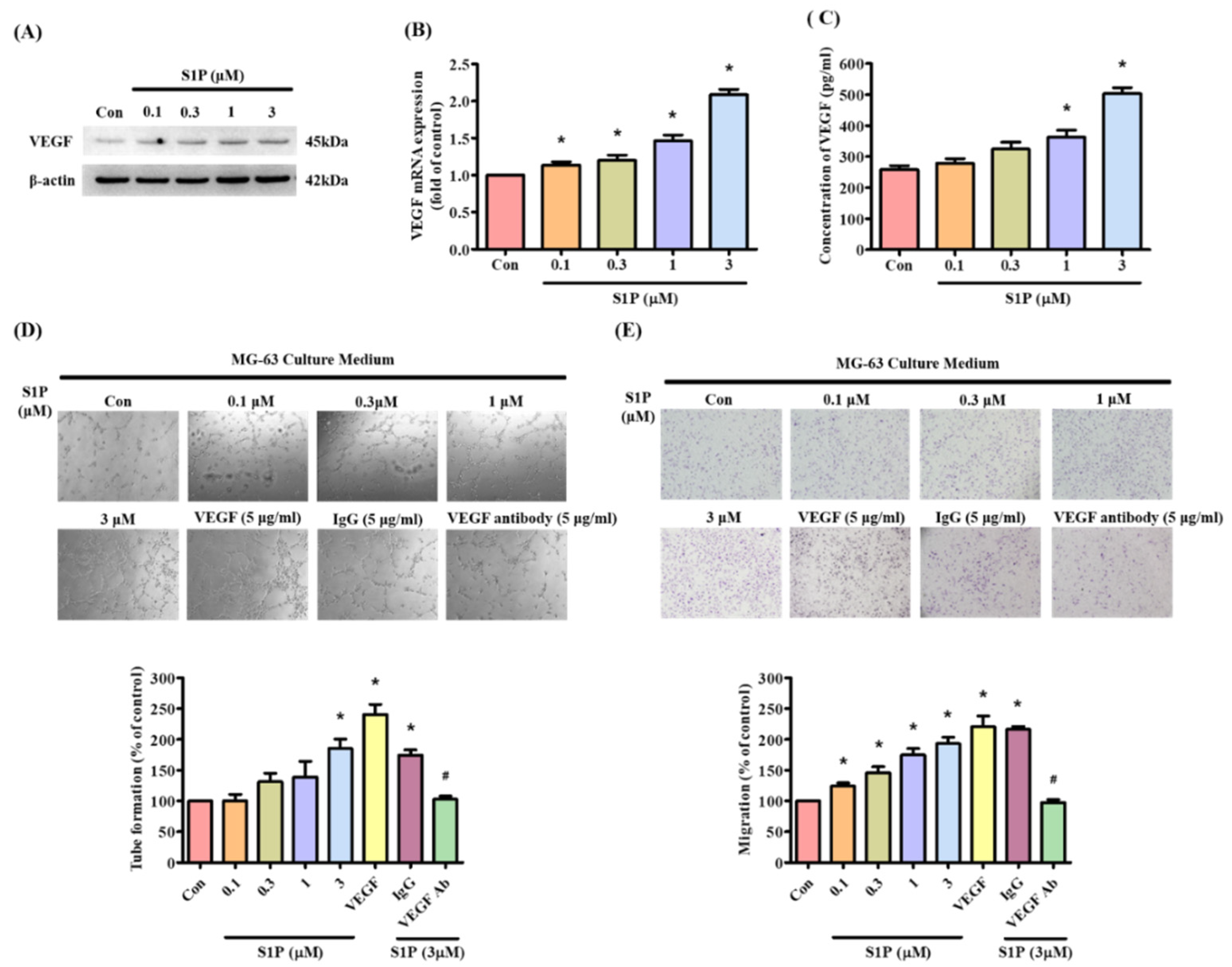 Cells 10 02168 g002