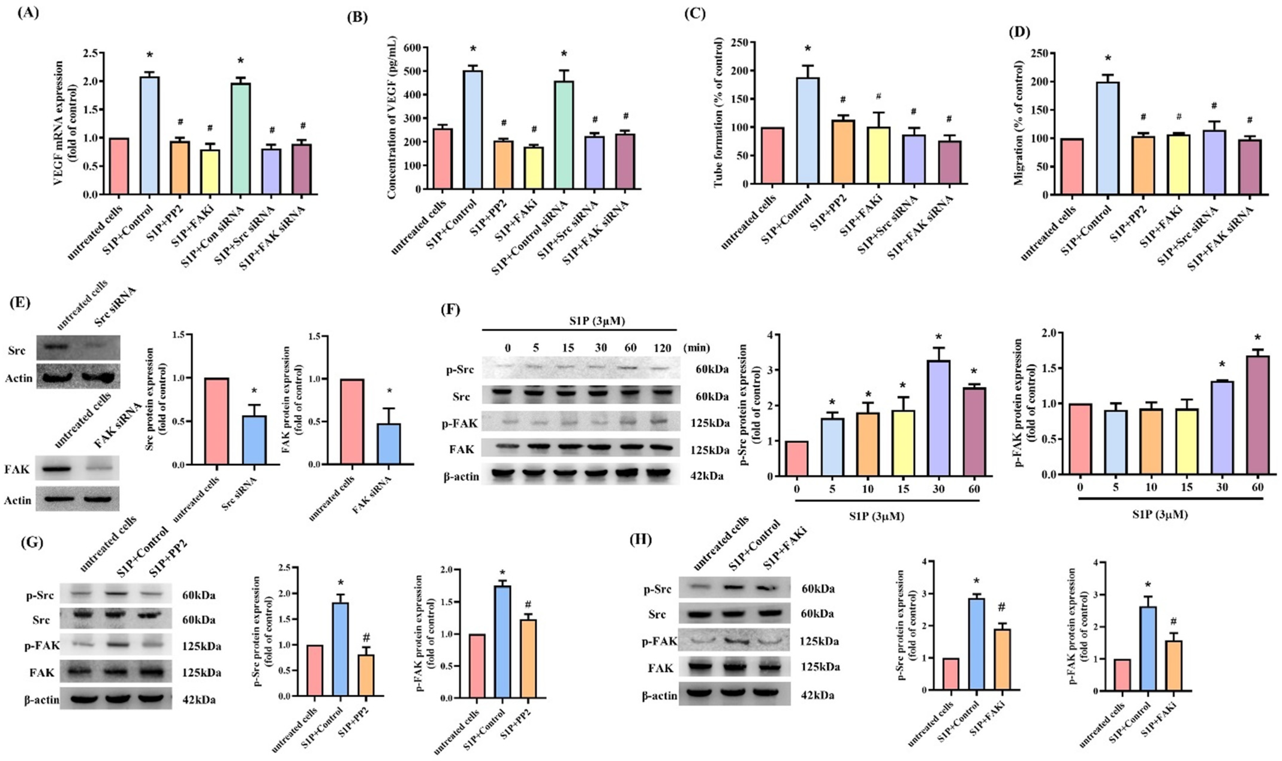 Cells 10 02168 g004