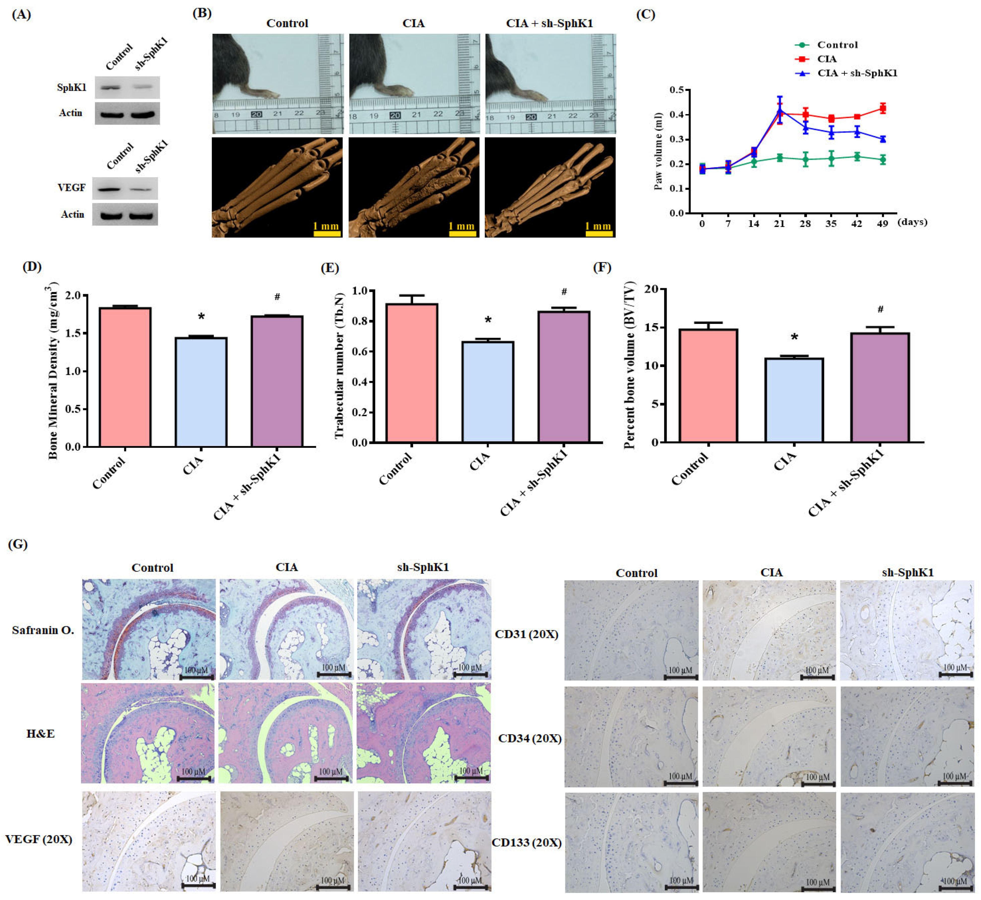Cells 10 02168 g007