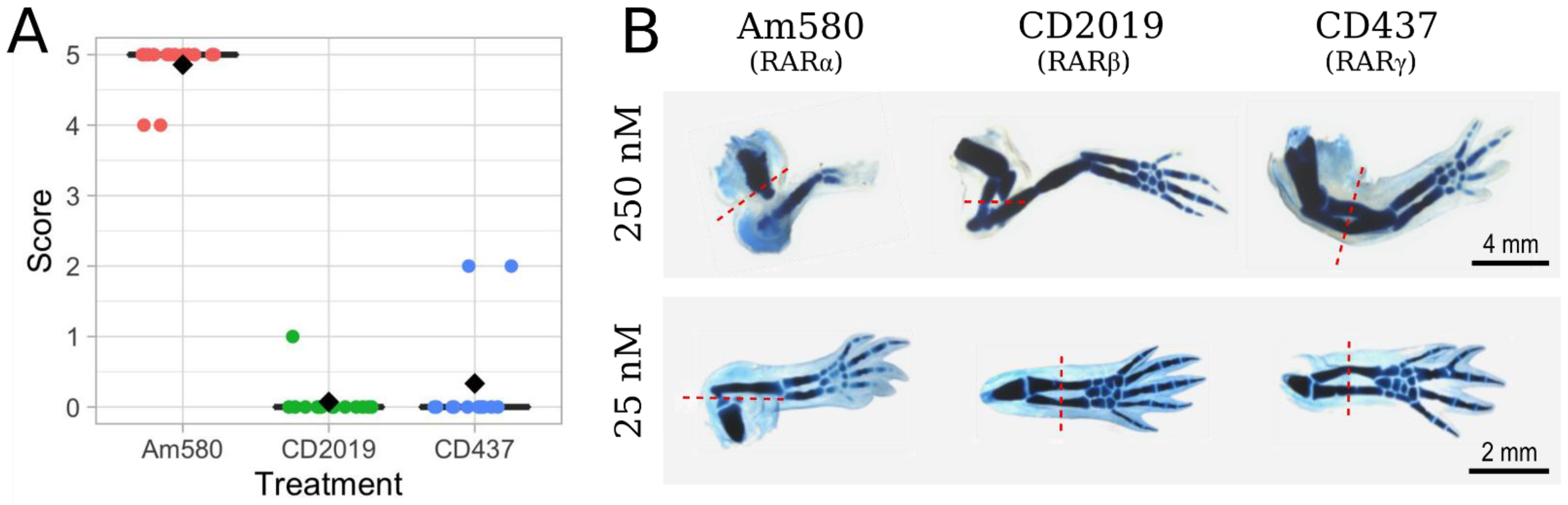 Cells 10 02174 g004 Cells 10 02174 g004