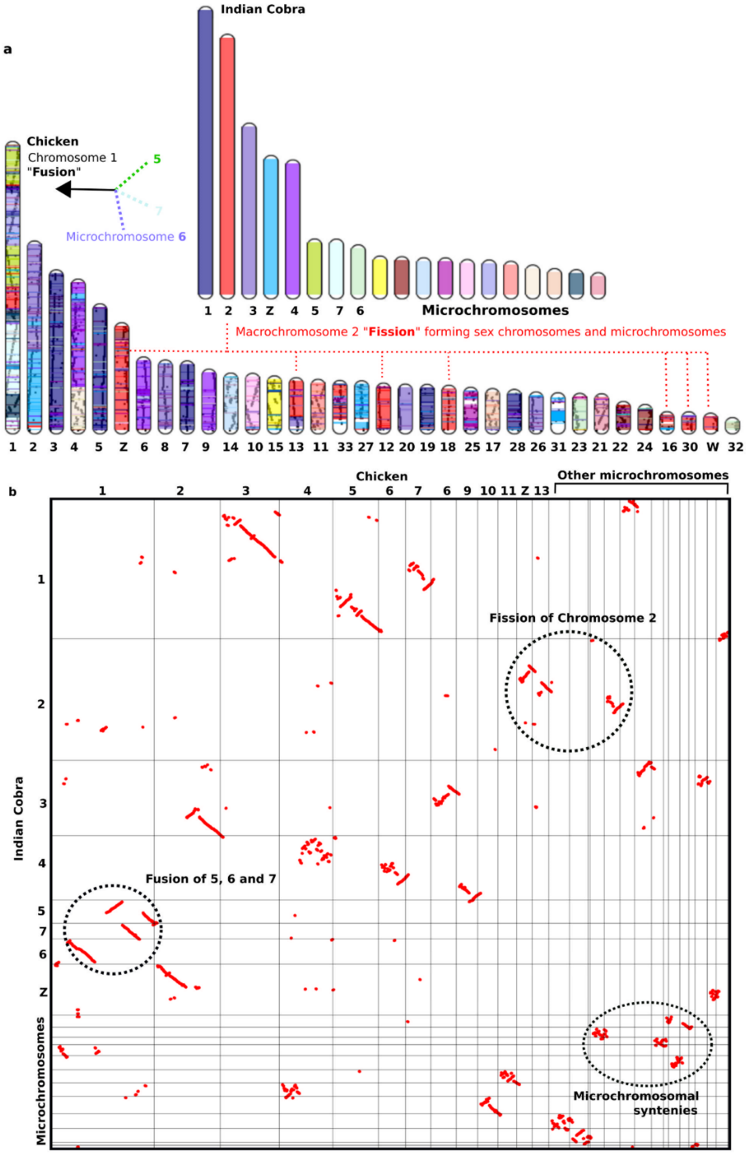 Cells 10 02182 g002