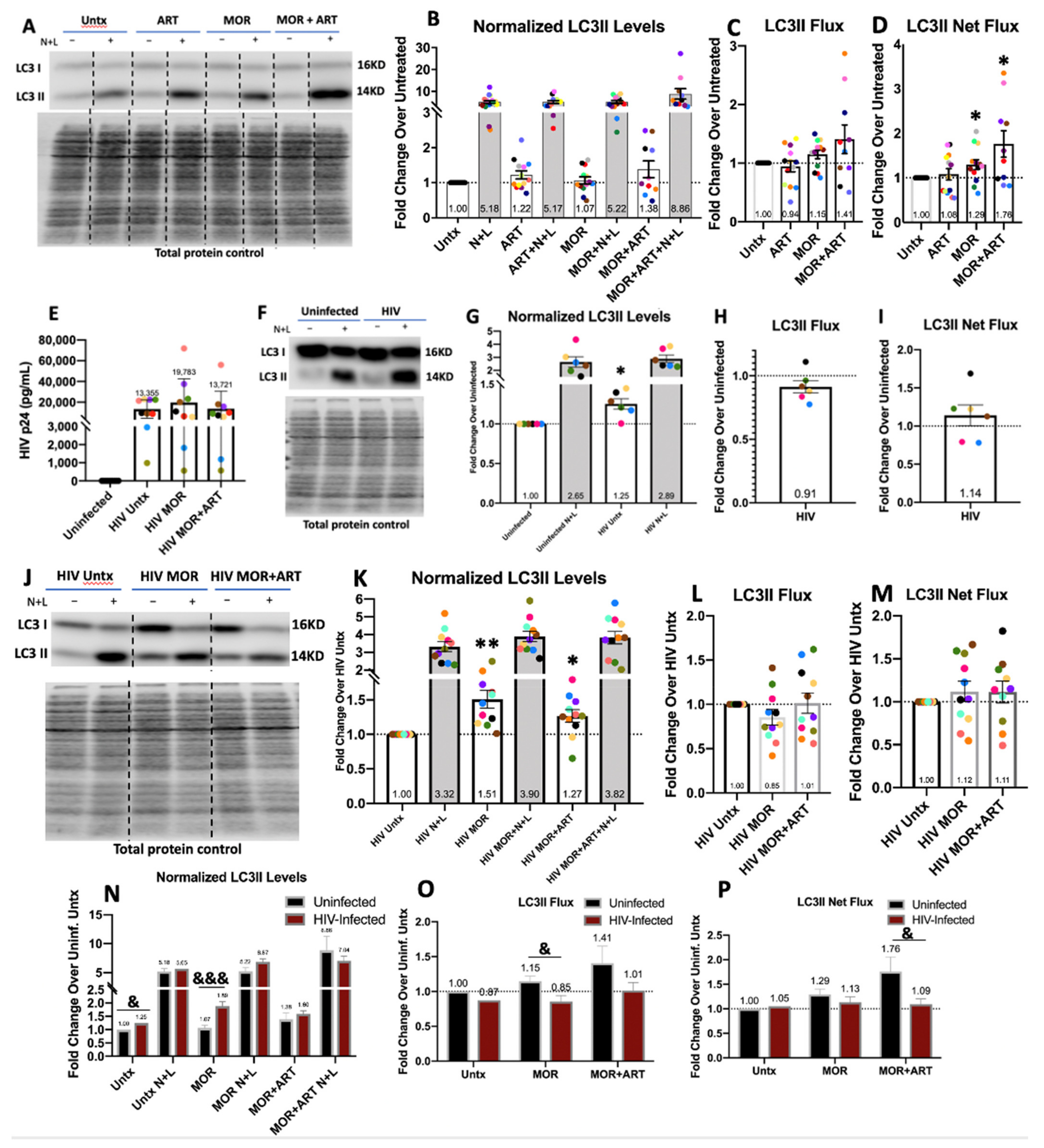 Cells 10 02183 g001