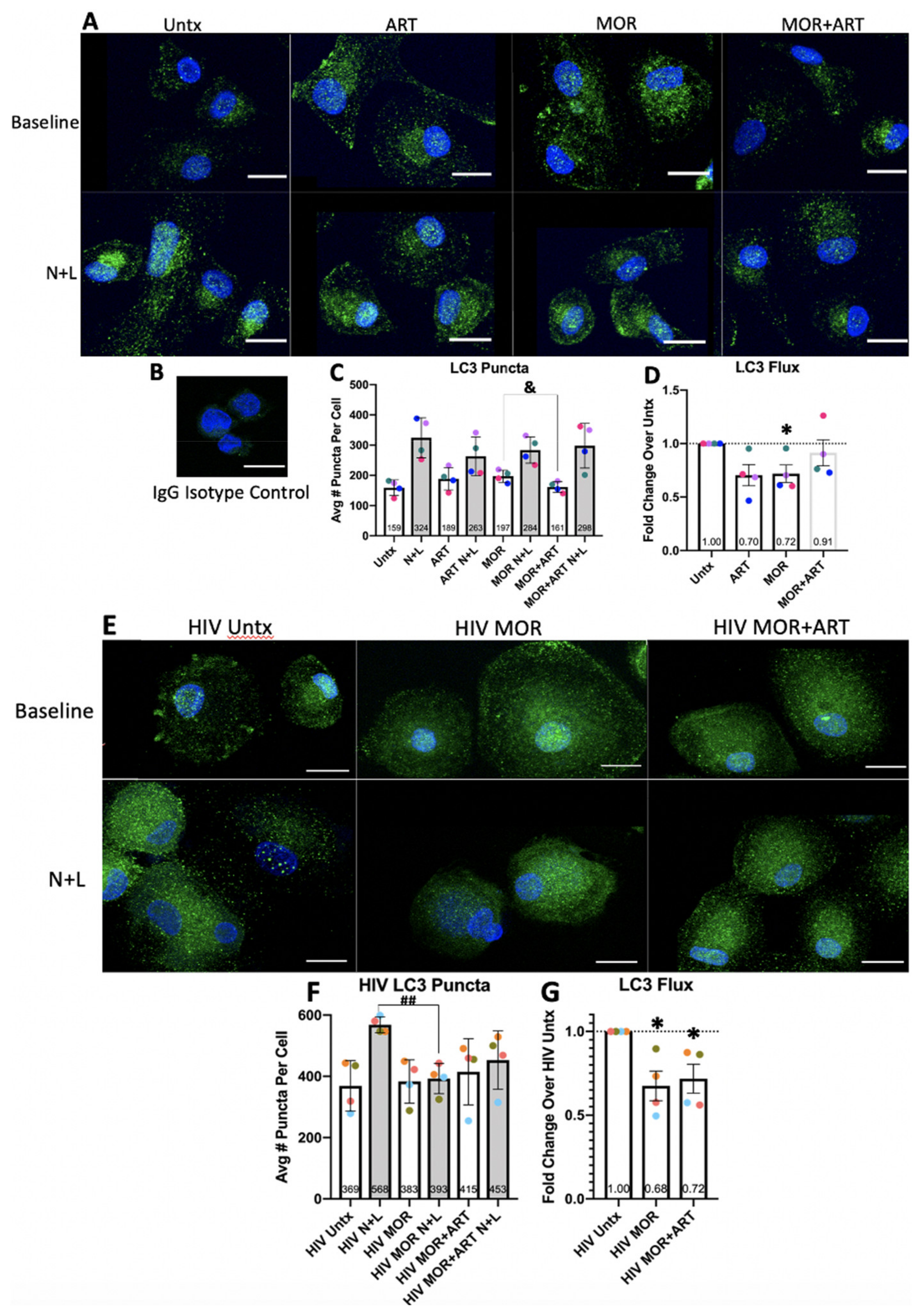 Cells 10 02183 g002
