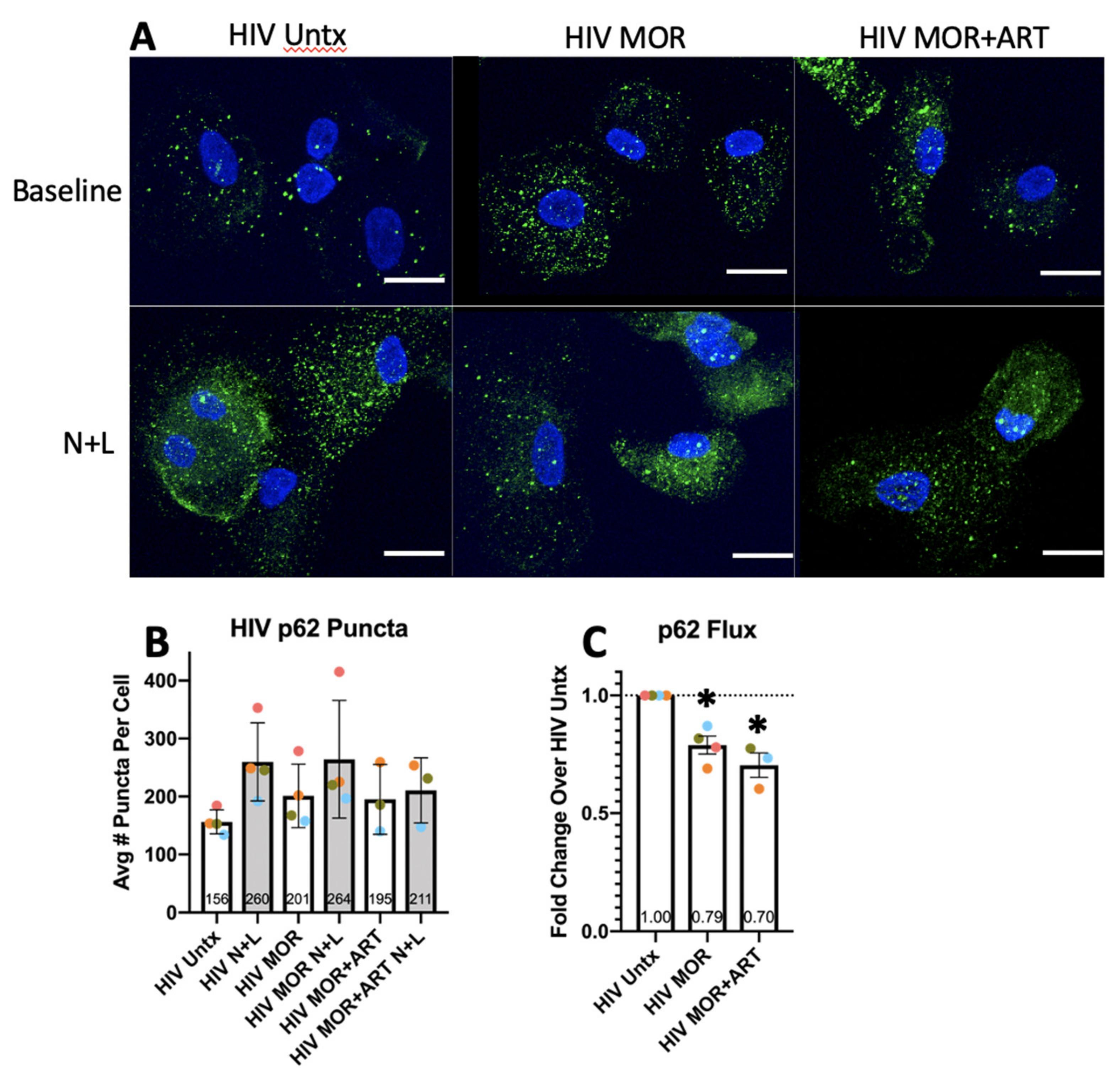 Cells 10 02183 g005