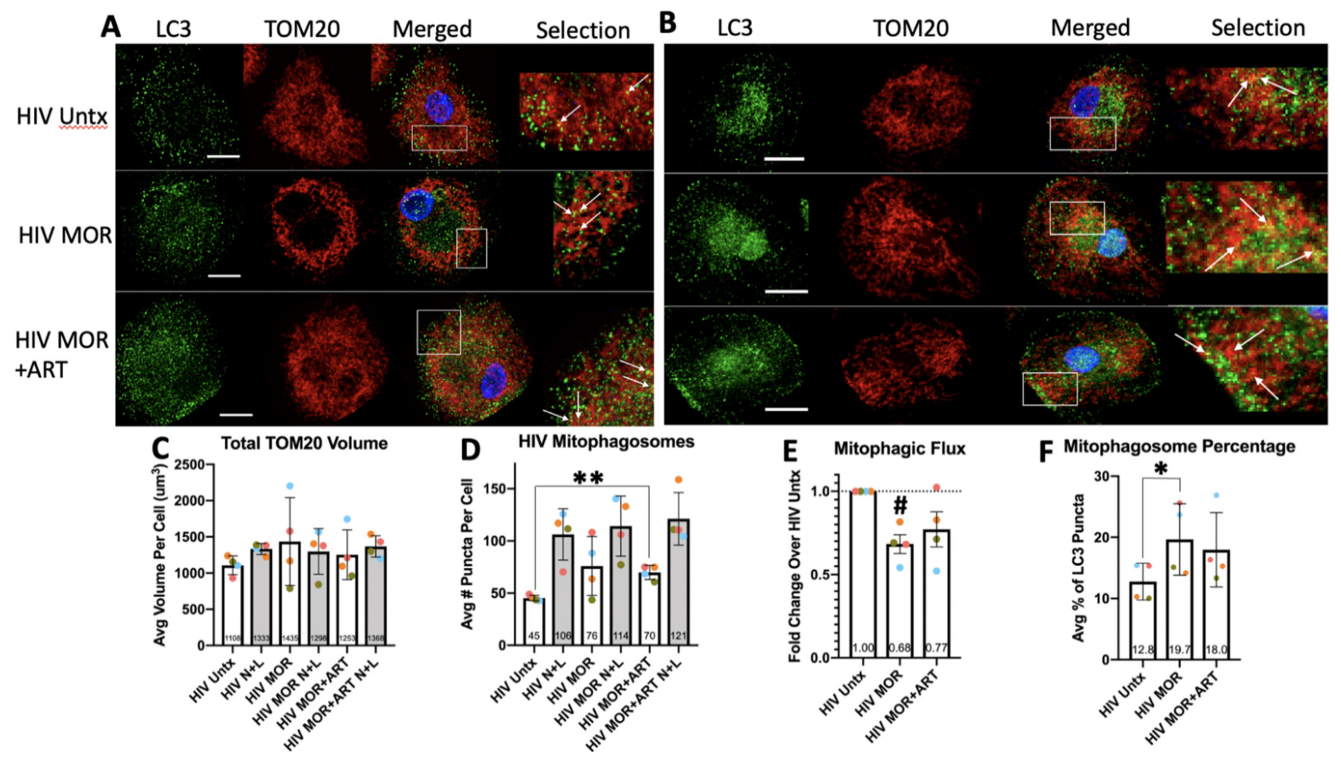Cells 10 02183 g006