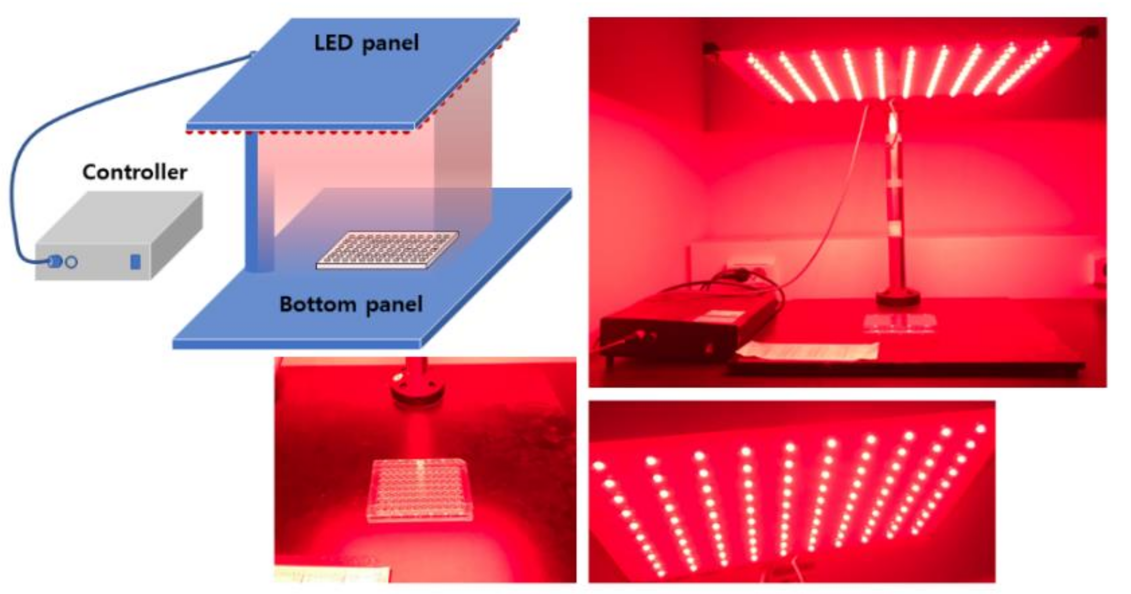 Cells 10 02190 sch001