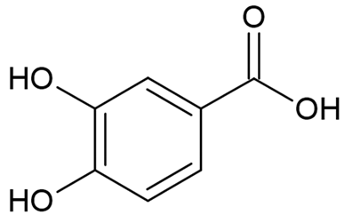 Cells 10 02194 i001 Cells 10 02194 i001