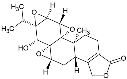 Cells 10 02194 i017 Cells 10 02194 i017