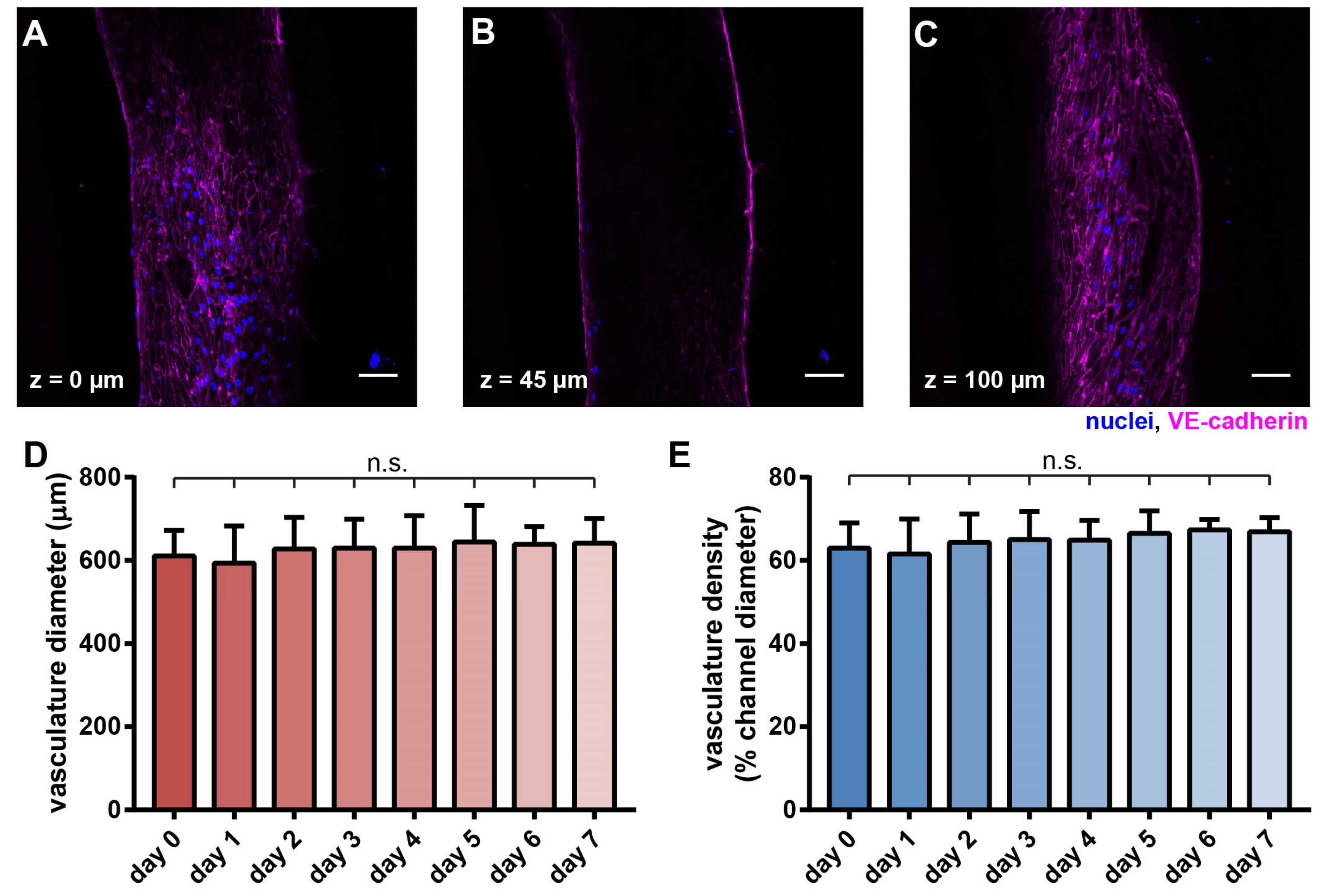 Cells 10 02201 g003 Cells 10 02201 g003
