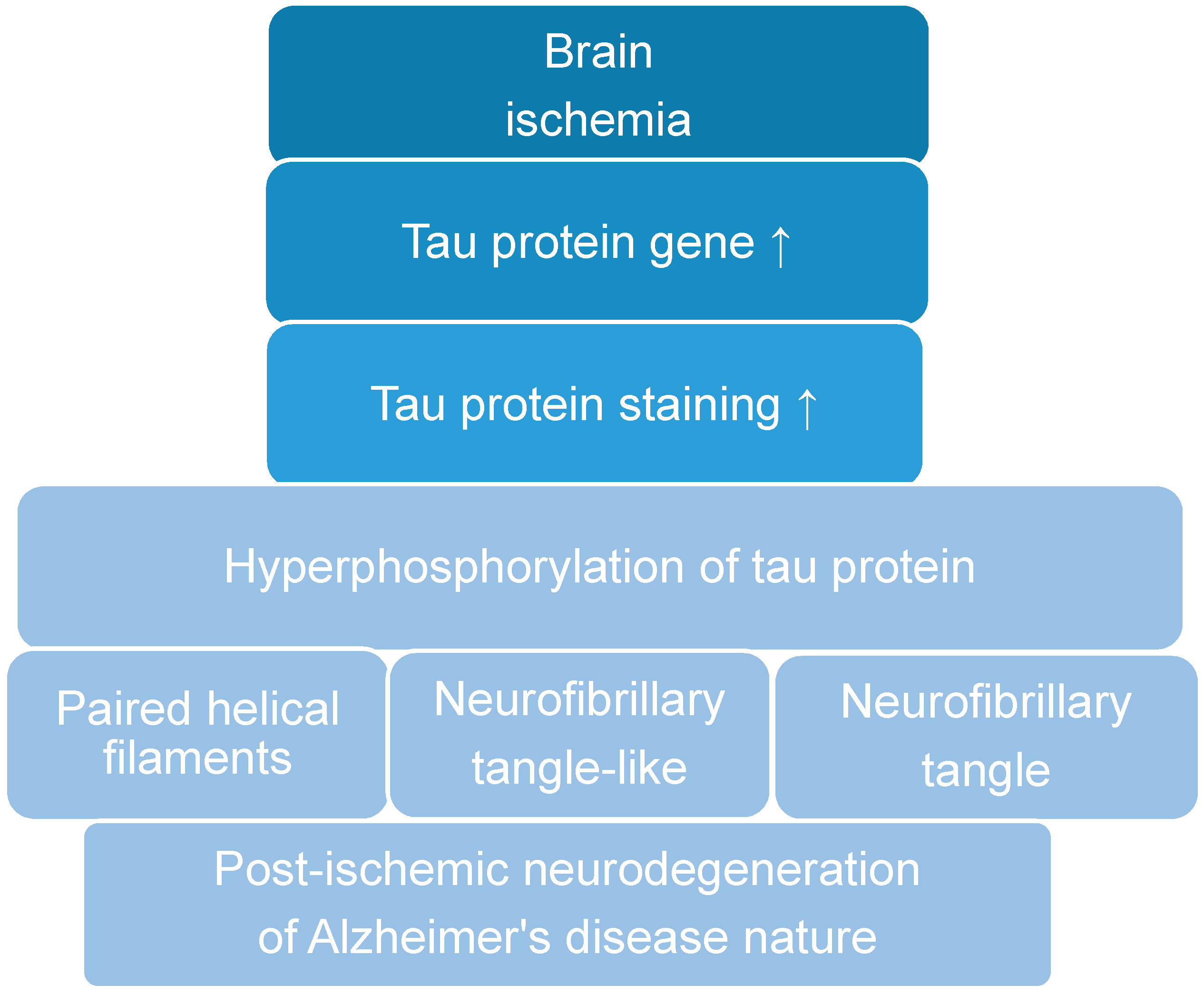 Cells 10 02213 g001 Cells 10 02213 g001