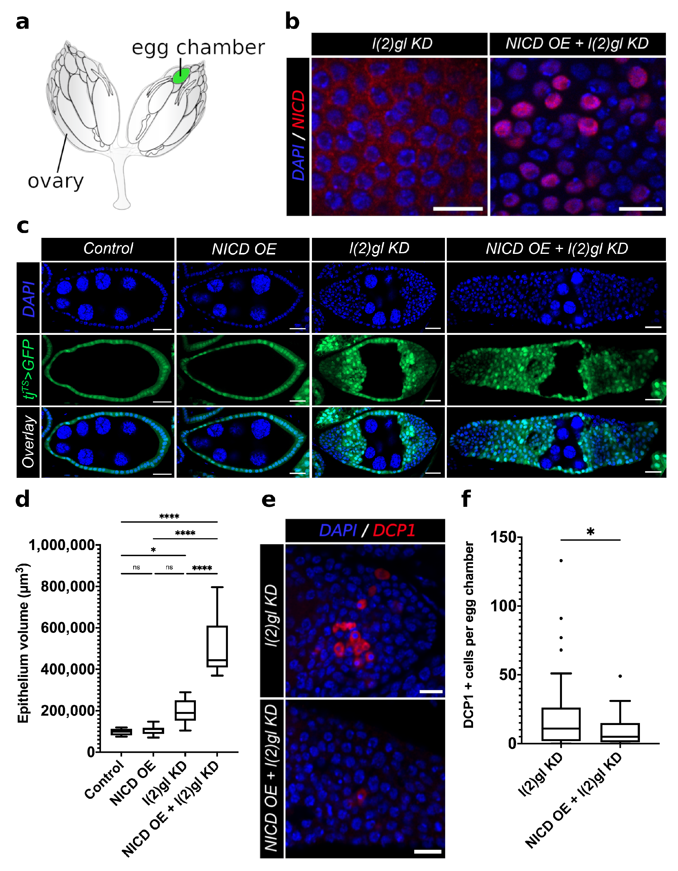 Cells 10 02222 g001