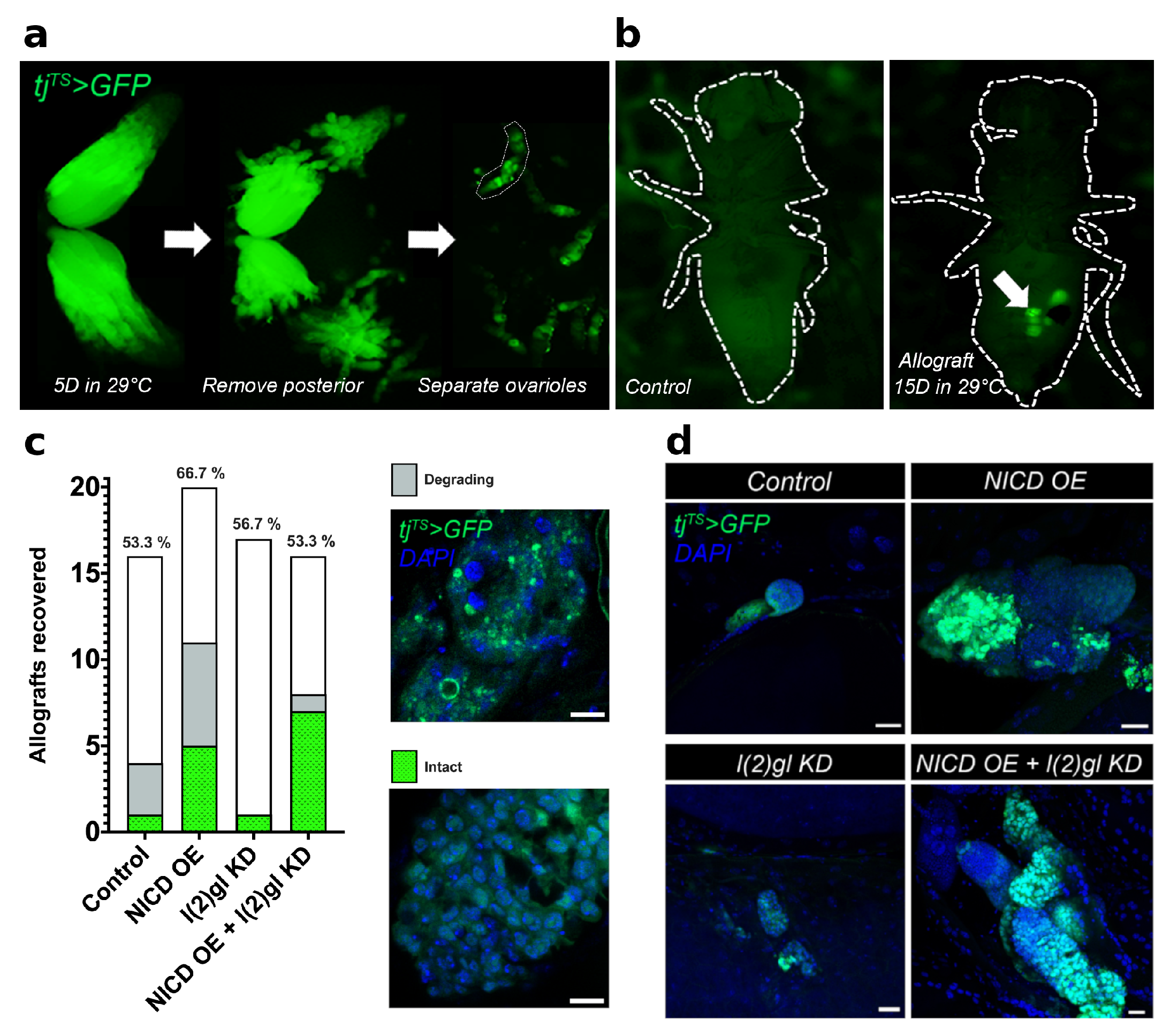 Cells 10 02222 g002