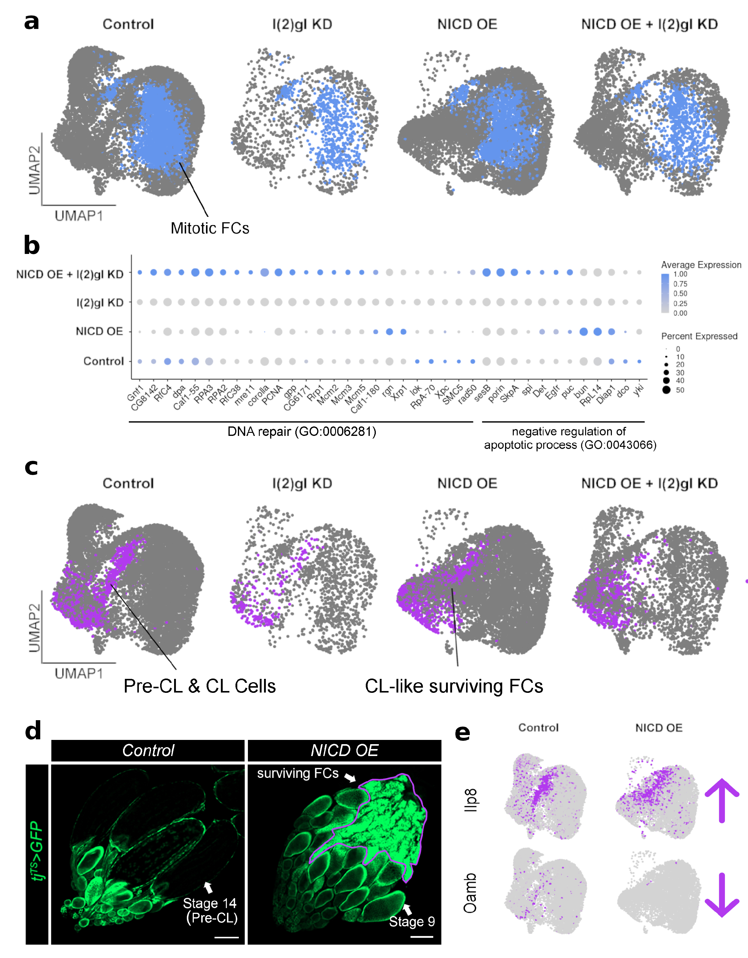 Cells 10 02222 g007