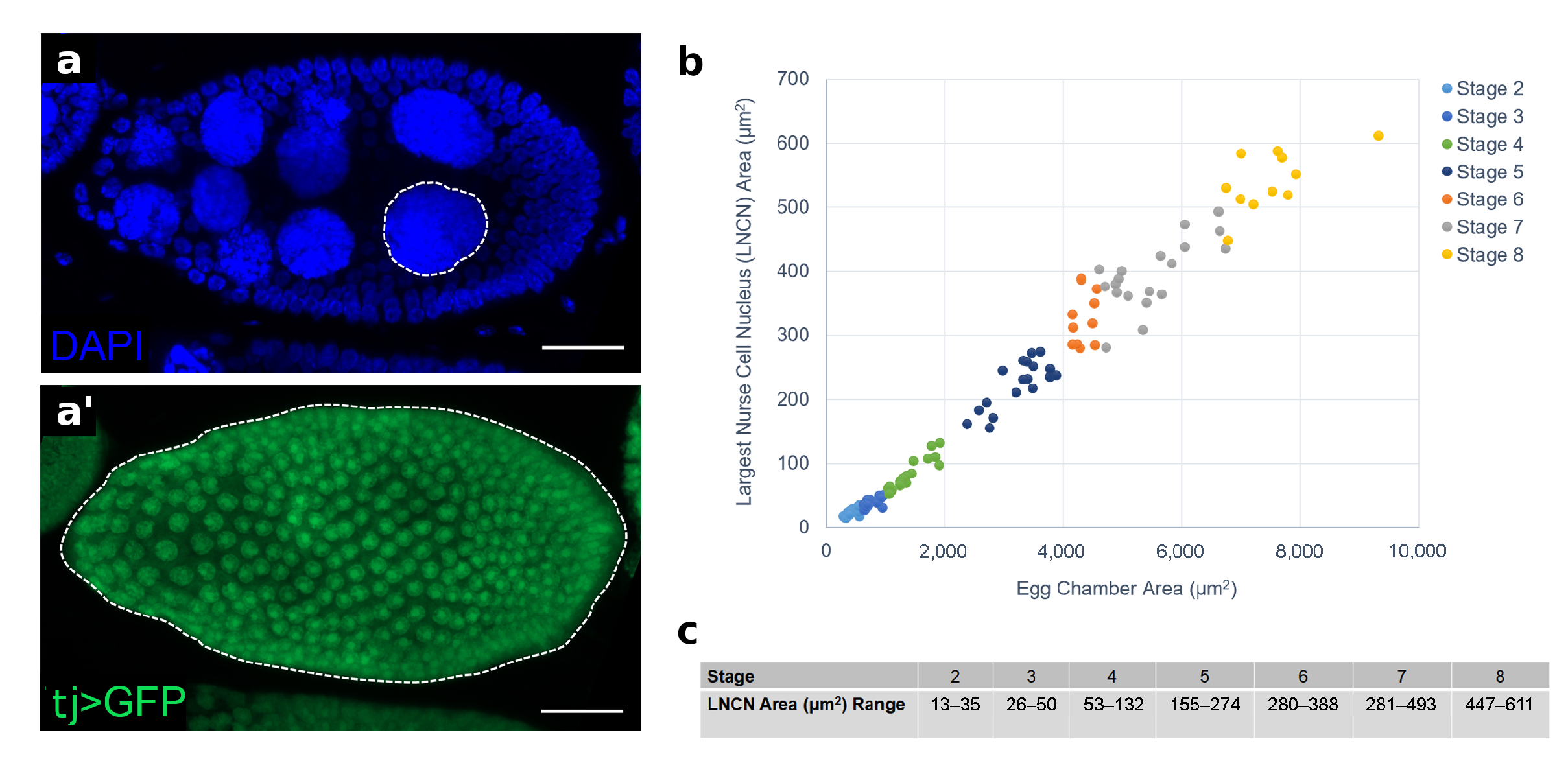 Cells 10 02222 g0a1
