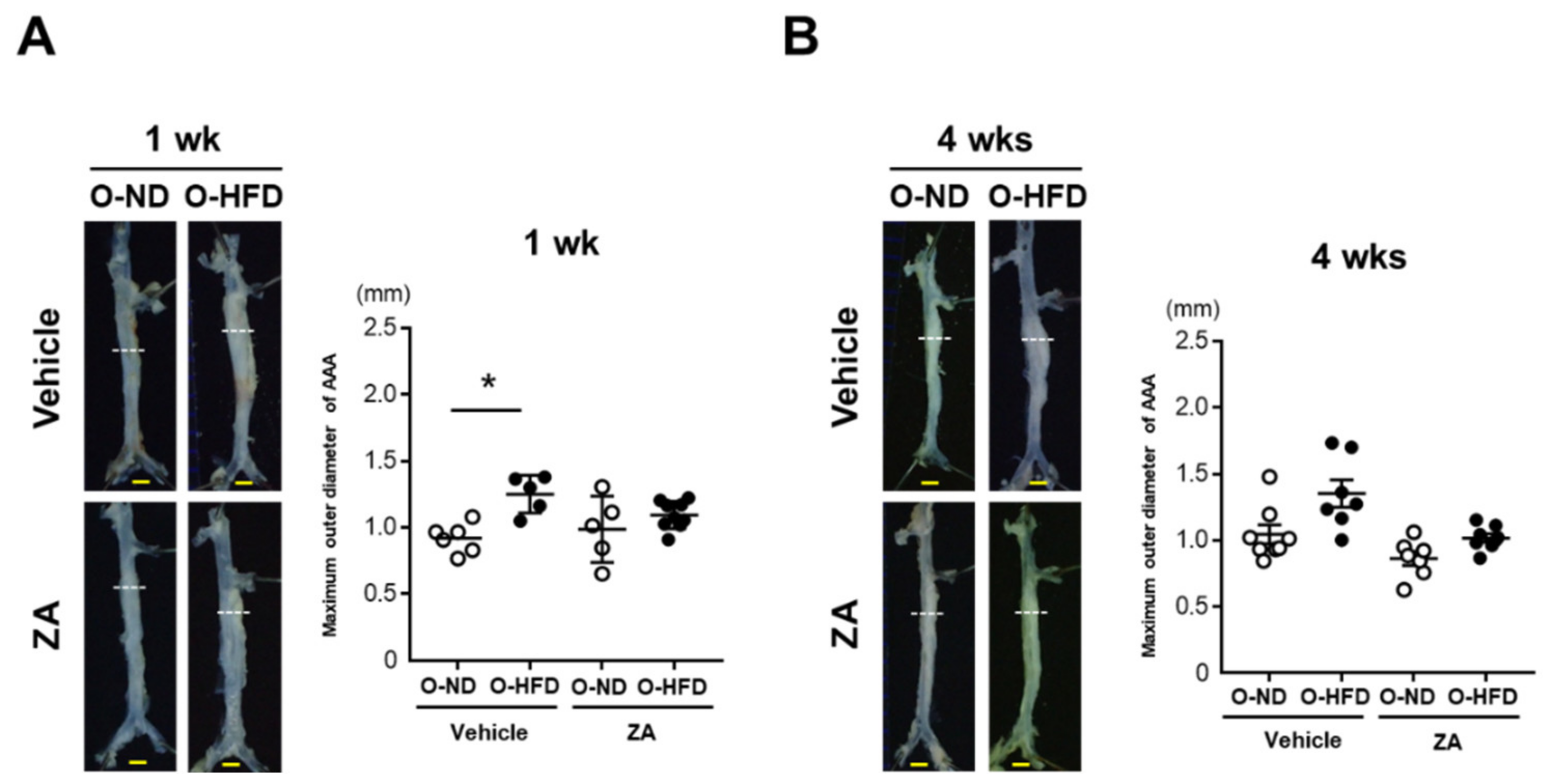 Cells 10 02224 g004a