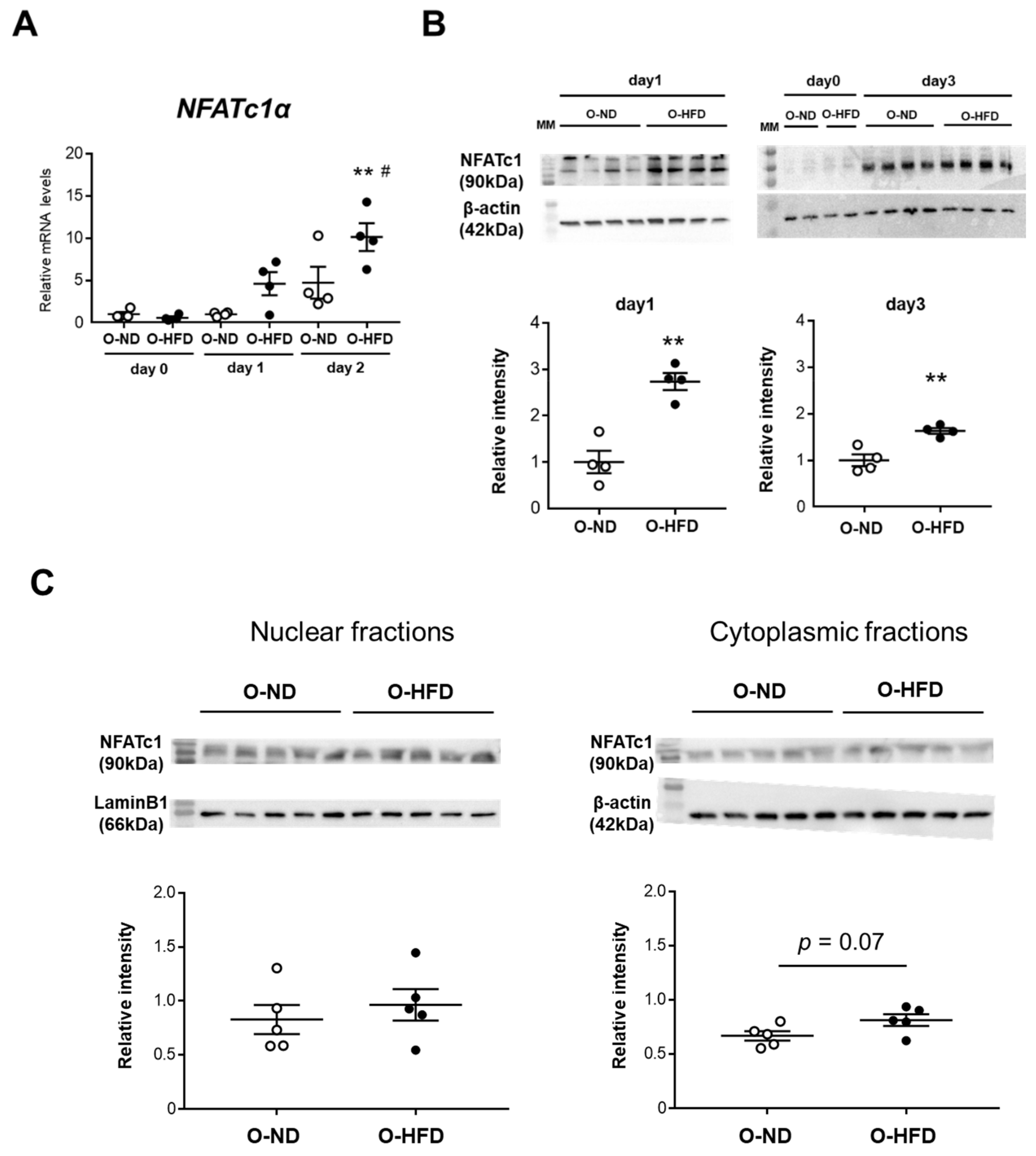 Cells 10 02224 g006a