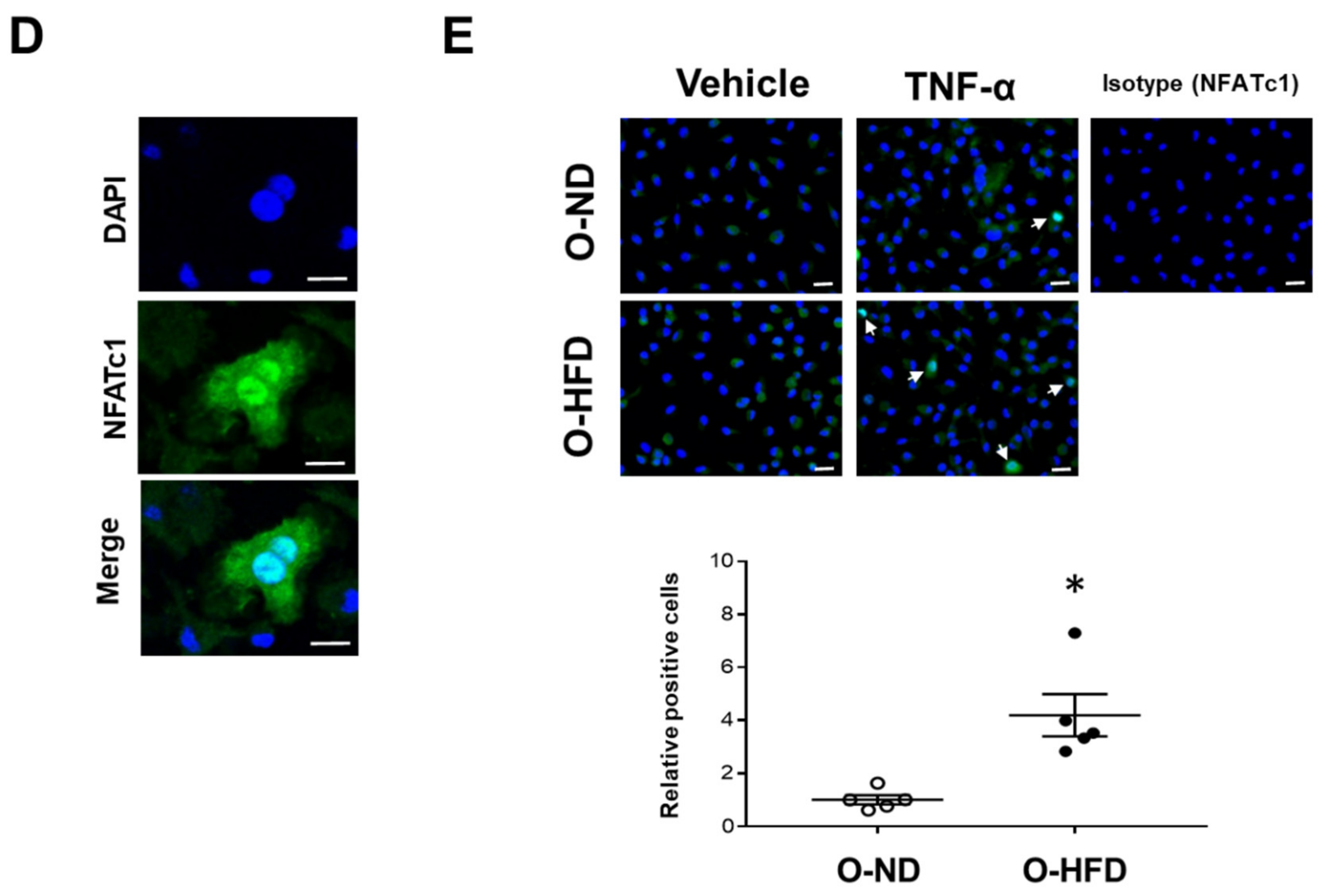 Cells 10 02224 g006b