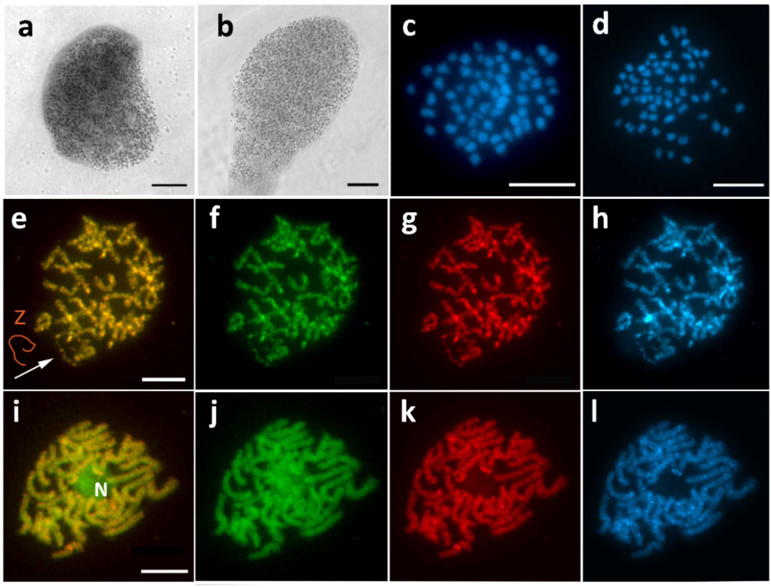 Cells 10 02230 g002 Cells 10 02230 g002